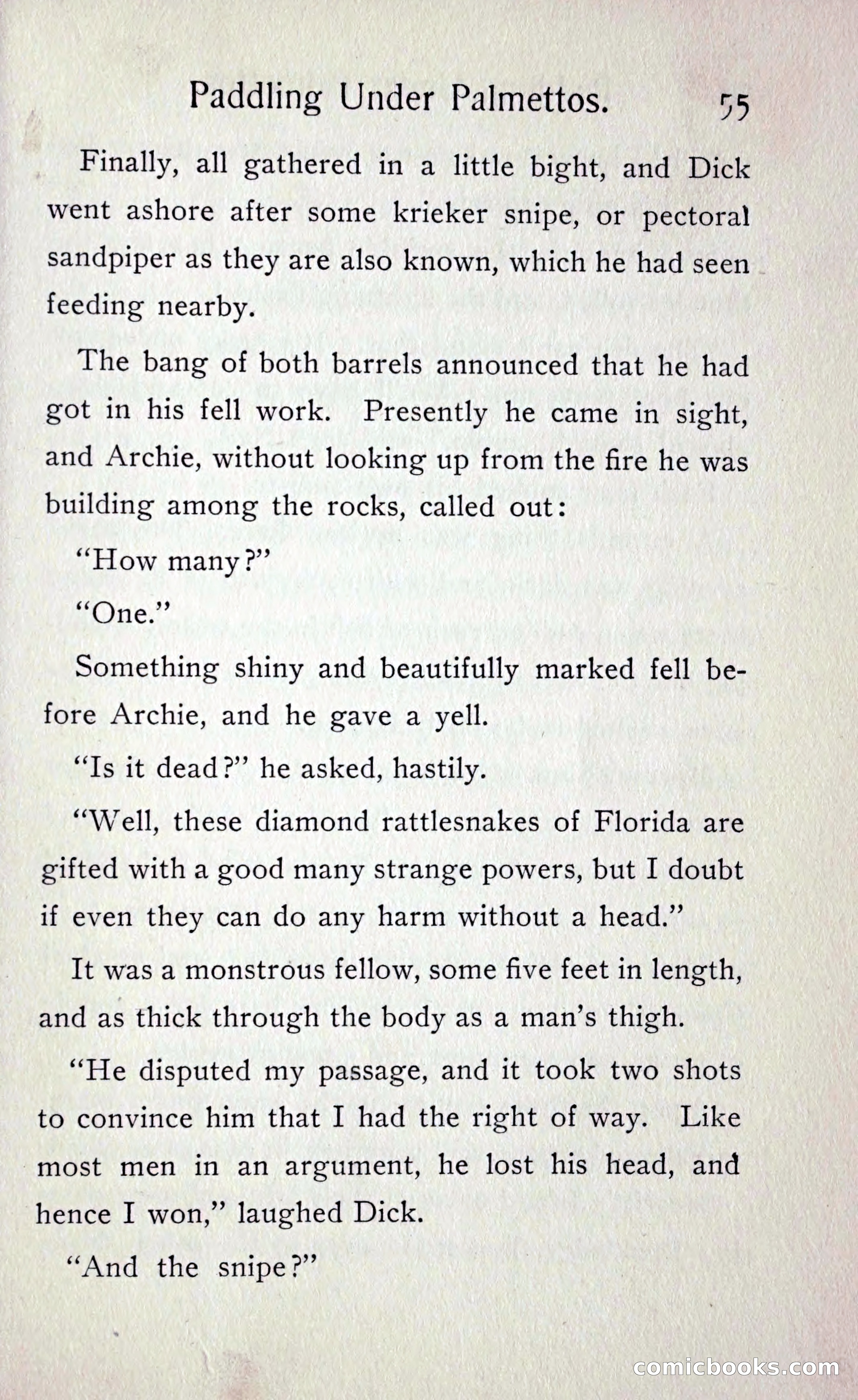 Paddling under Palmettos — page 60 of 299
