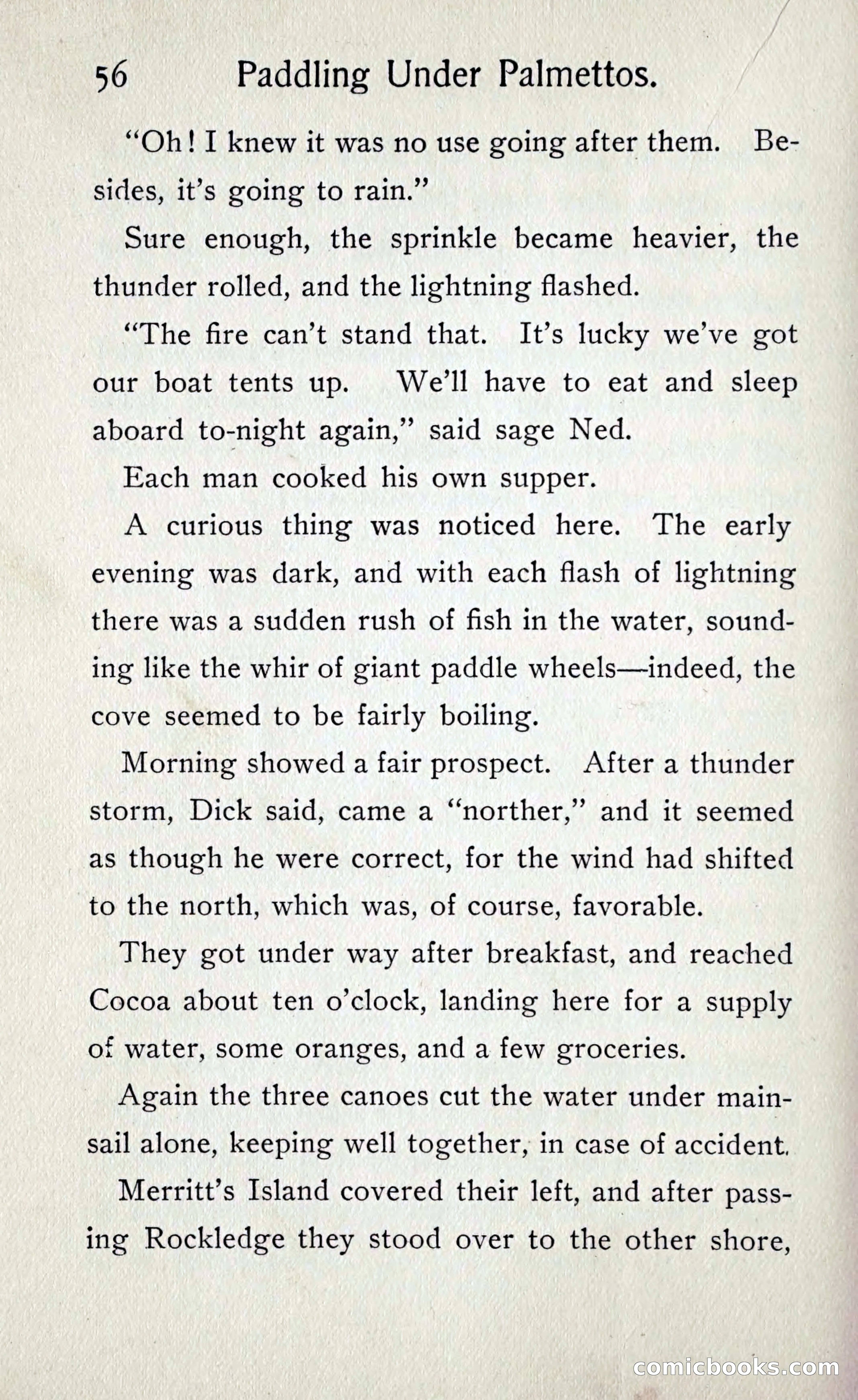 Paddling under Palmettos — page 61 of 299