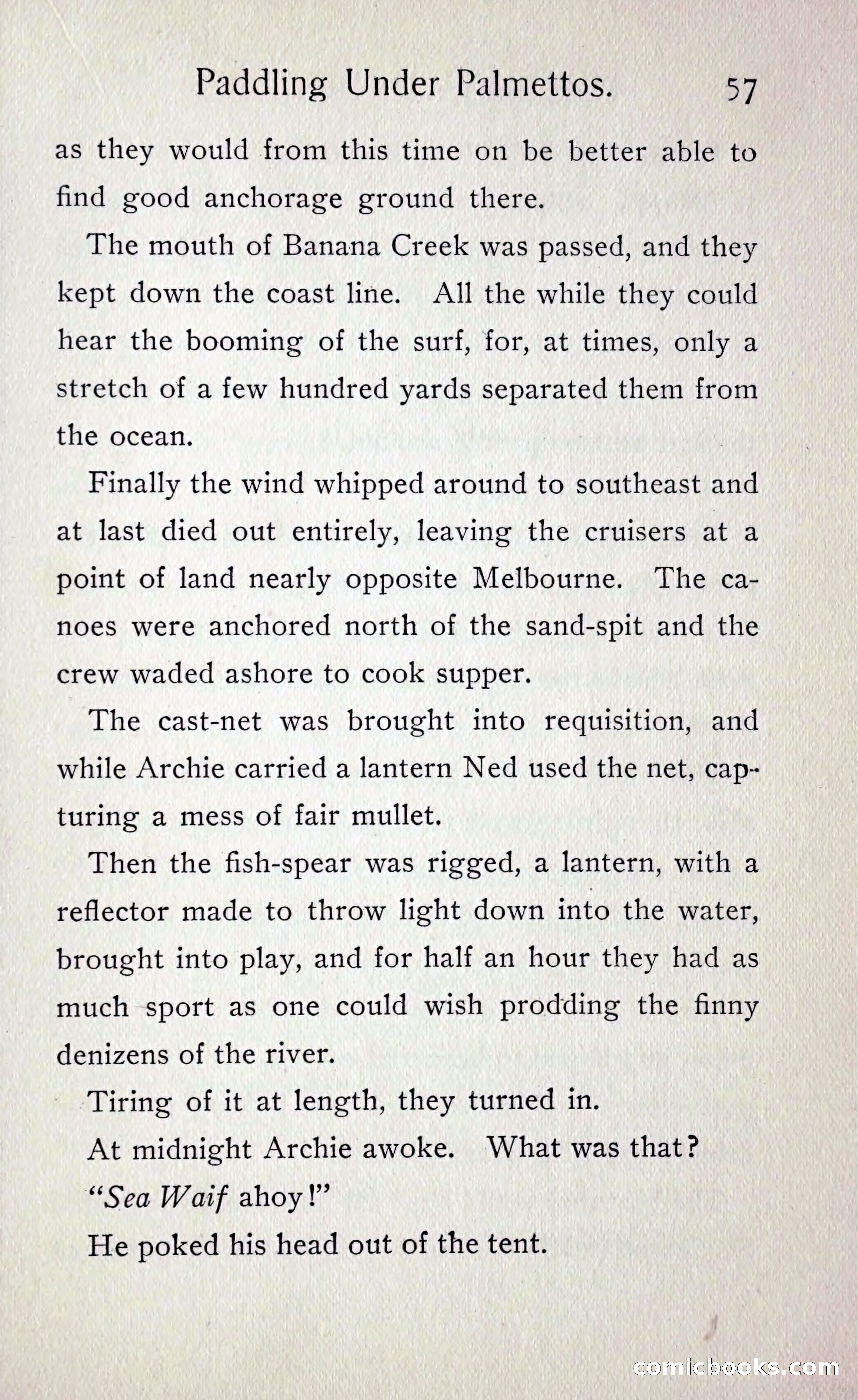 Paddling under Palmettos — page 62 of 299