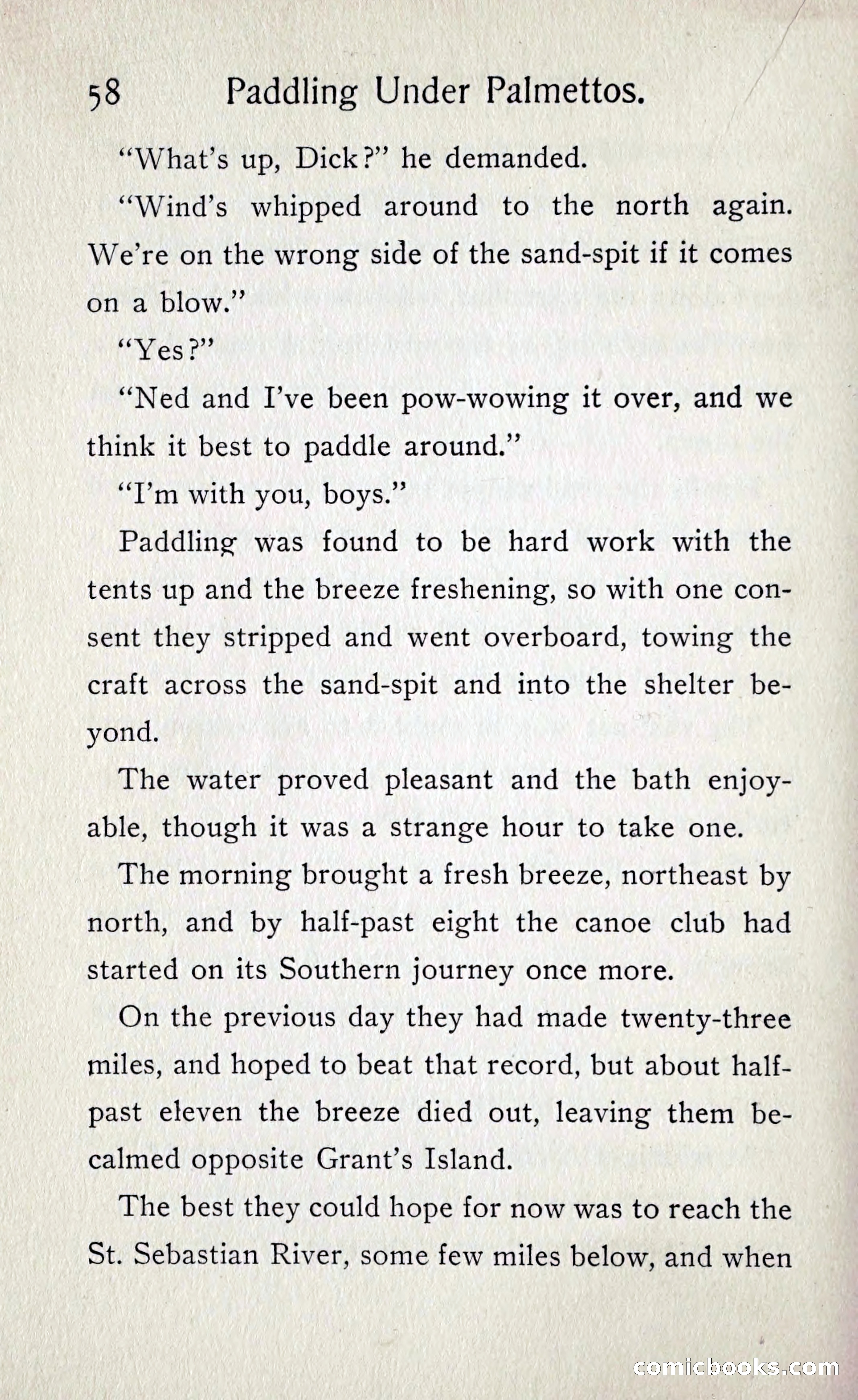 Paddling under Palmettos — page 63 of 299