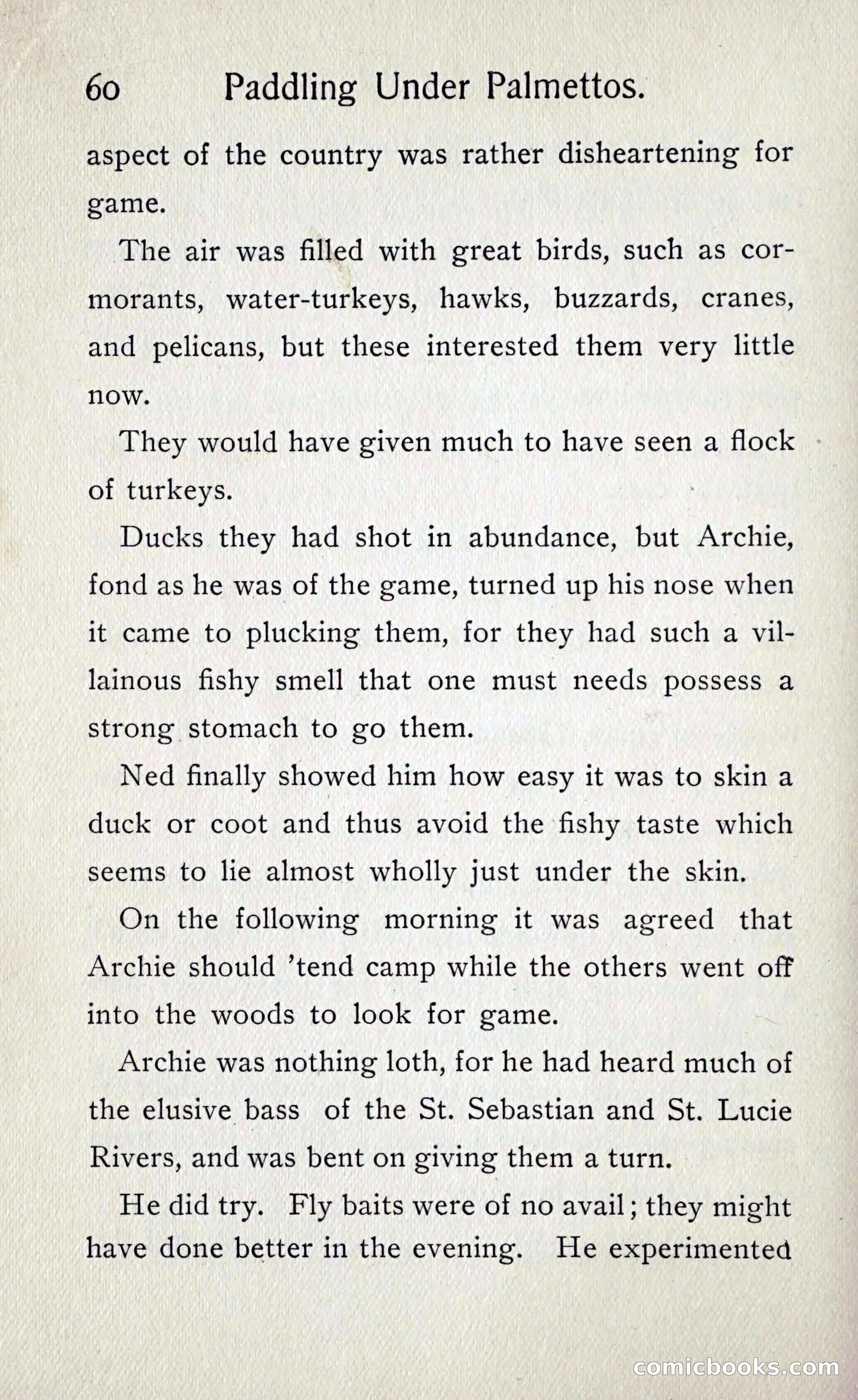 Paddling under Palmettos — page 65 of 299