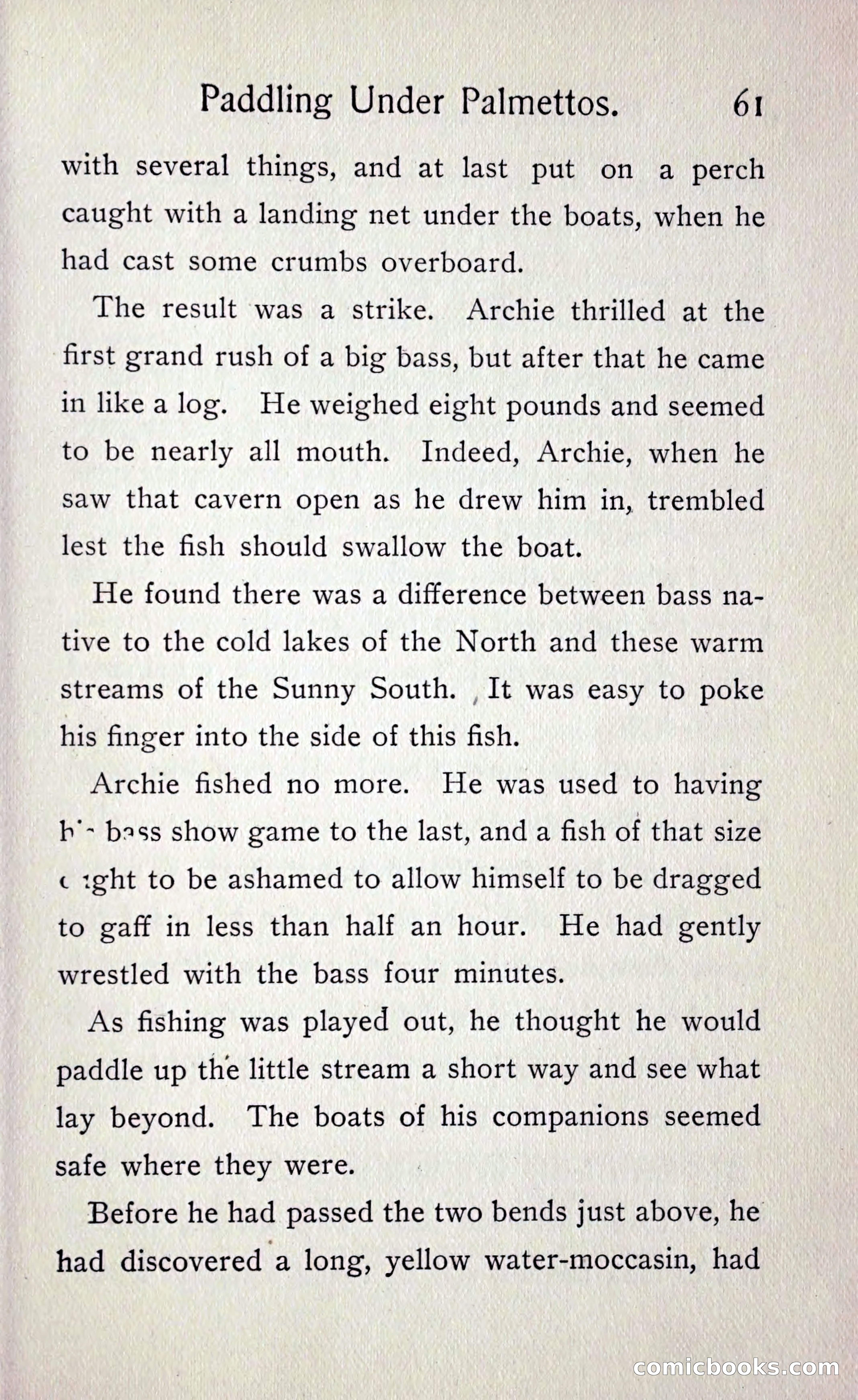 Paddling under Palmettos — page 66 of 299
