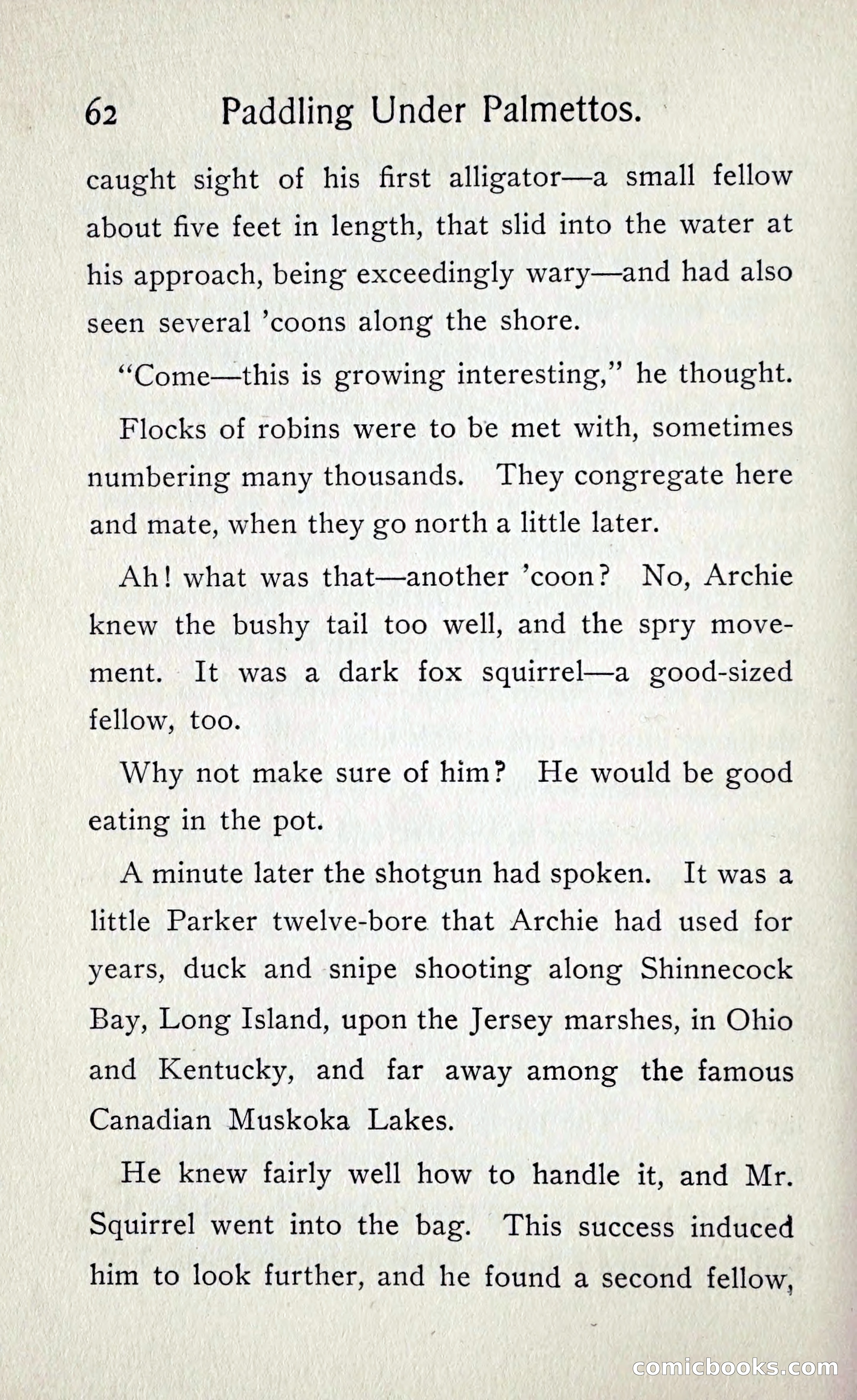 Paddling under Palmettos — page 67 of 299