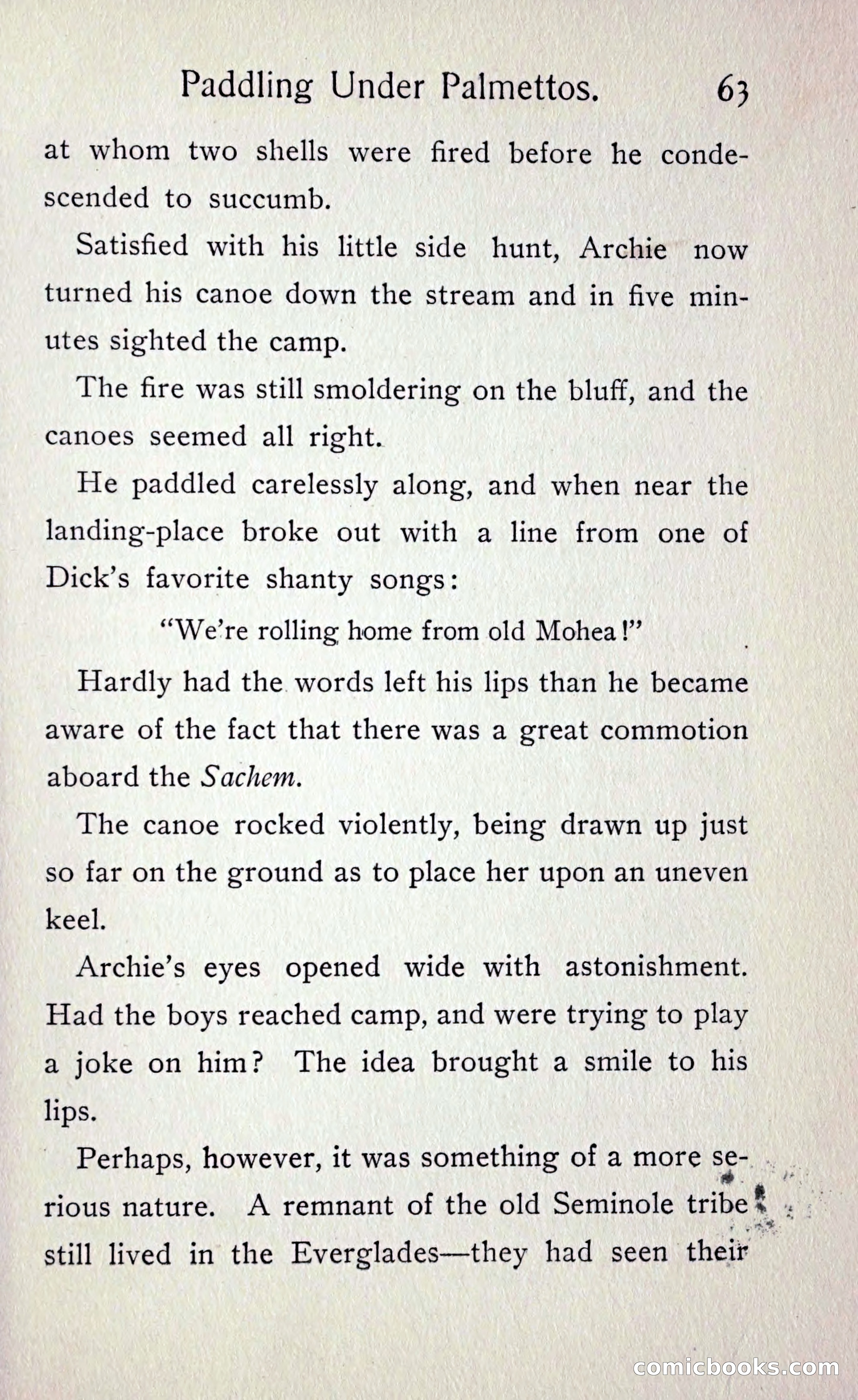 Paddling under Palmettos — page 68 of 299