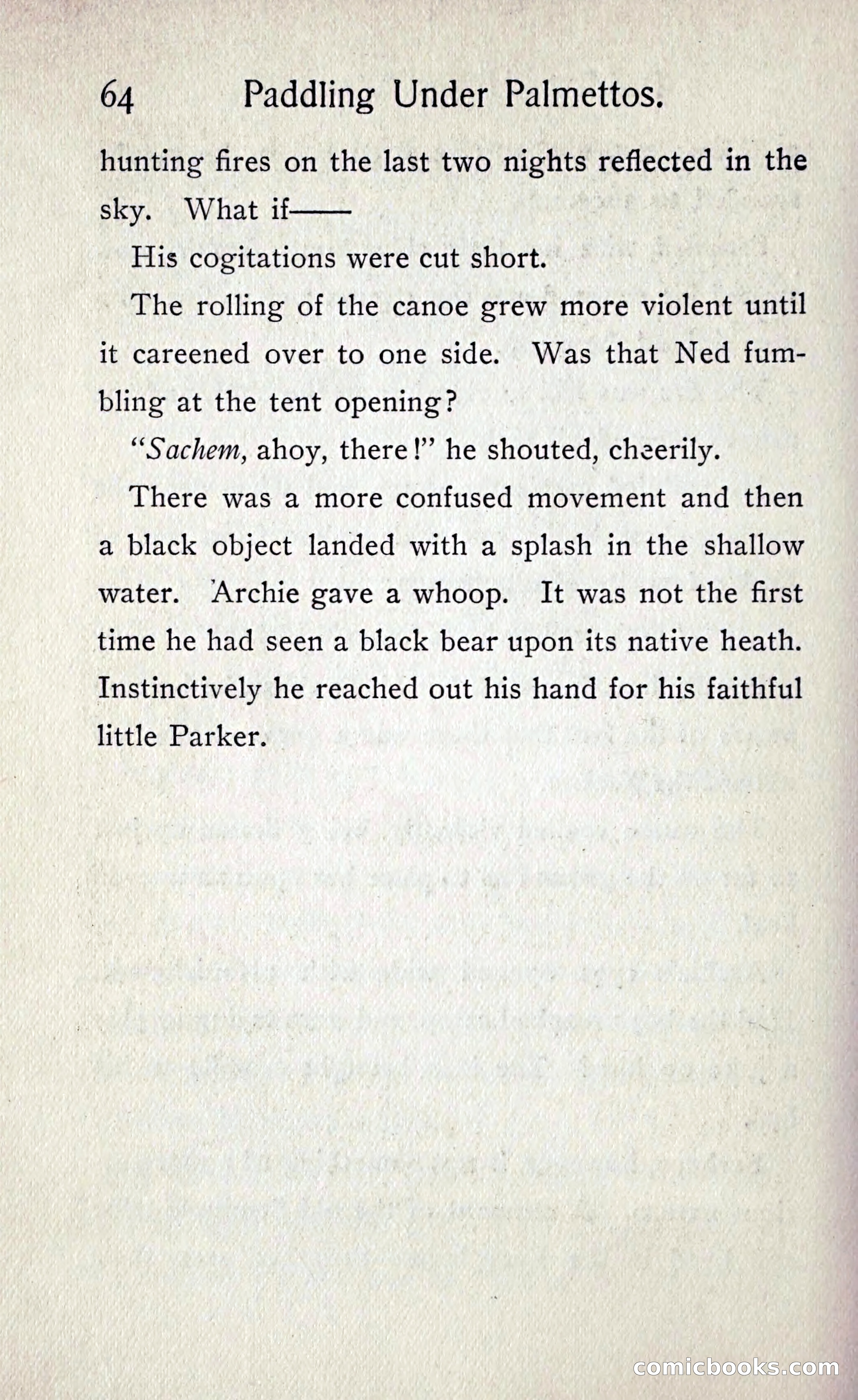 Paddling under Palmettos — page 69 of 299