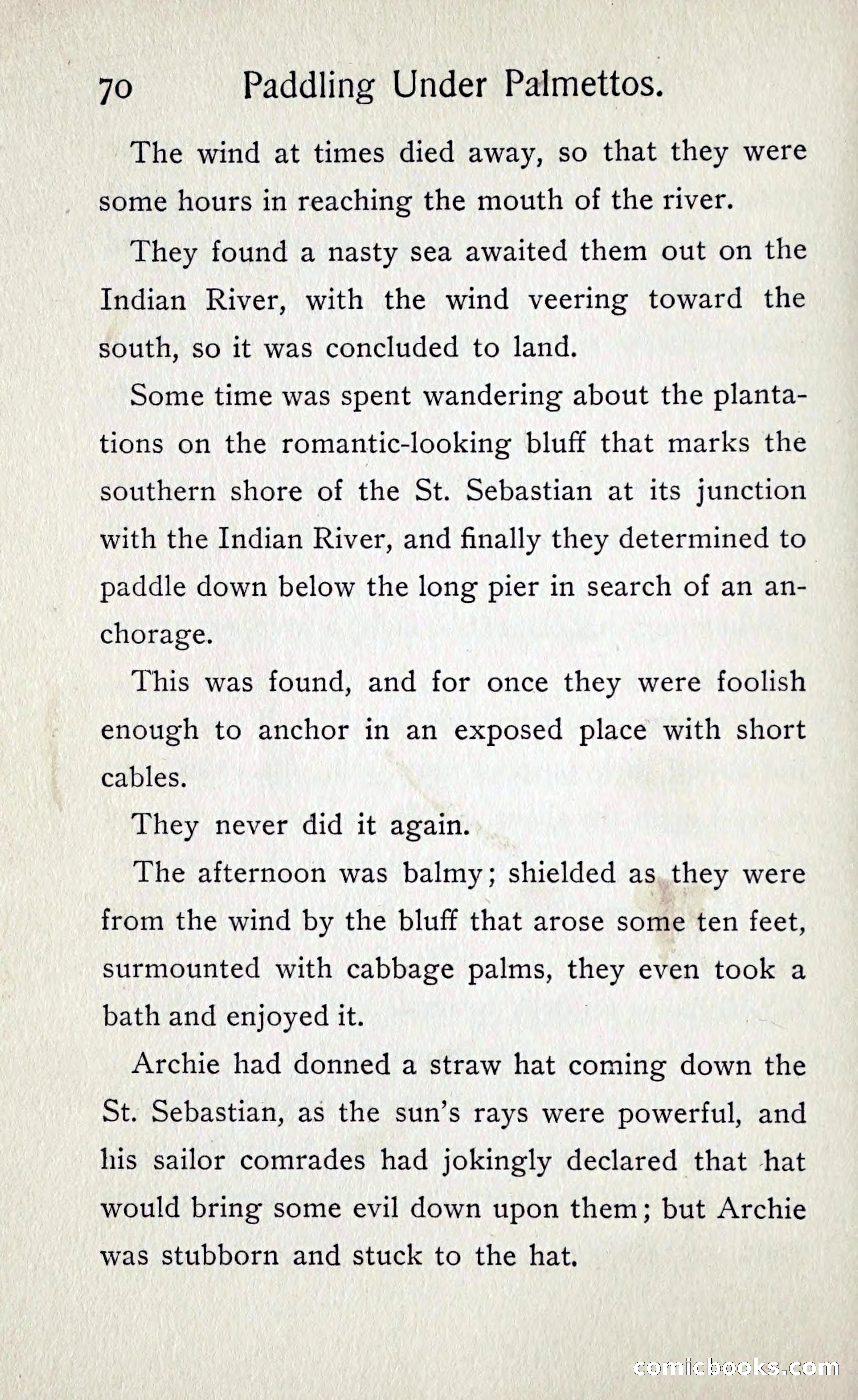 Paddling under Palmettos — page 77 of 299