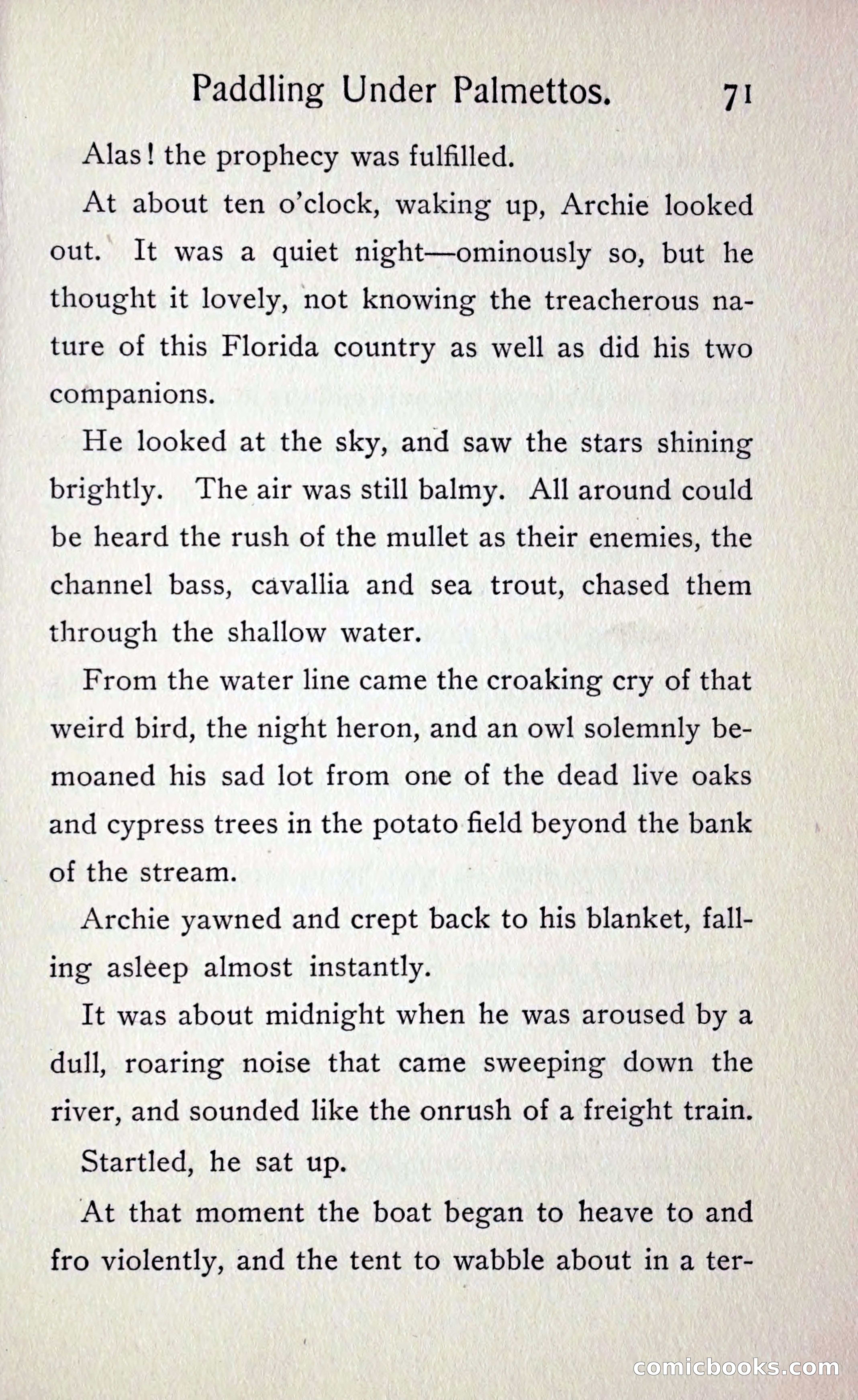 Paddling under Palmettos — page 78 of 299