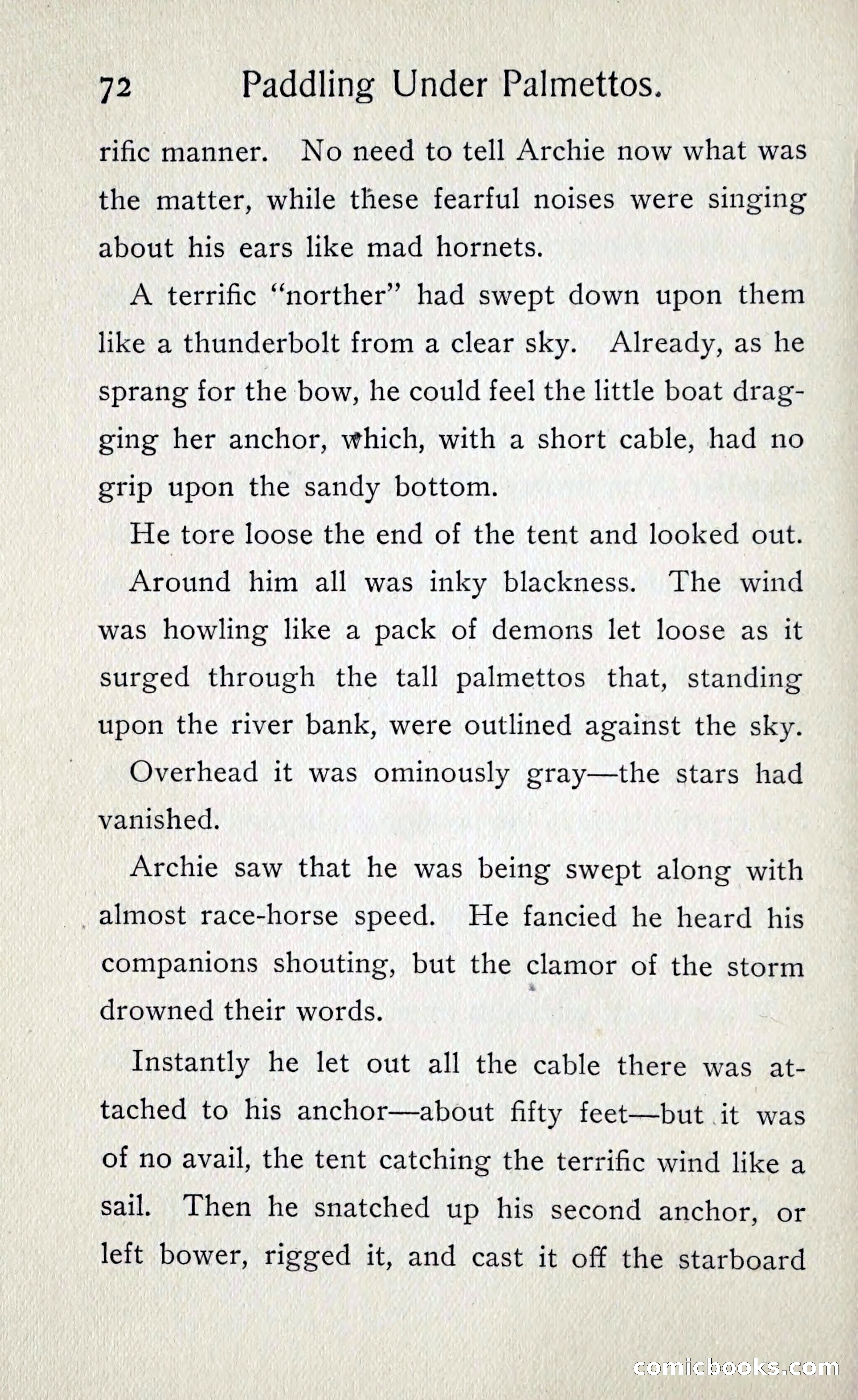 Paddling under Palmettos — page 79 of 299
