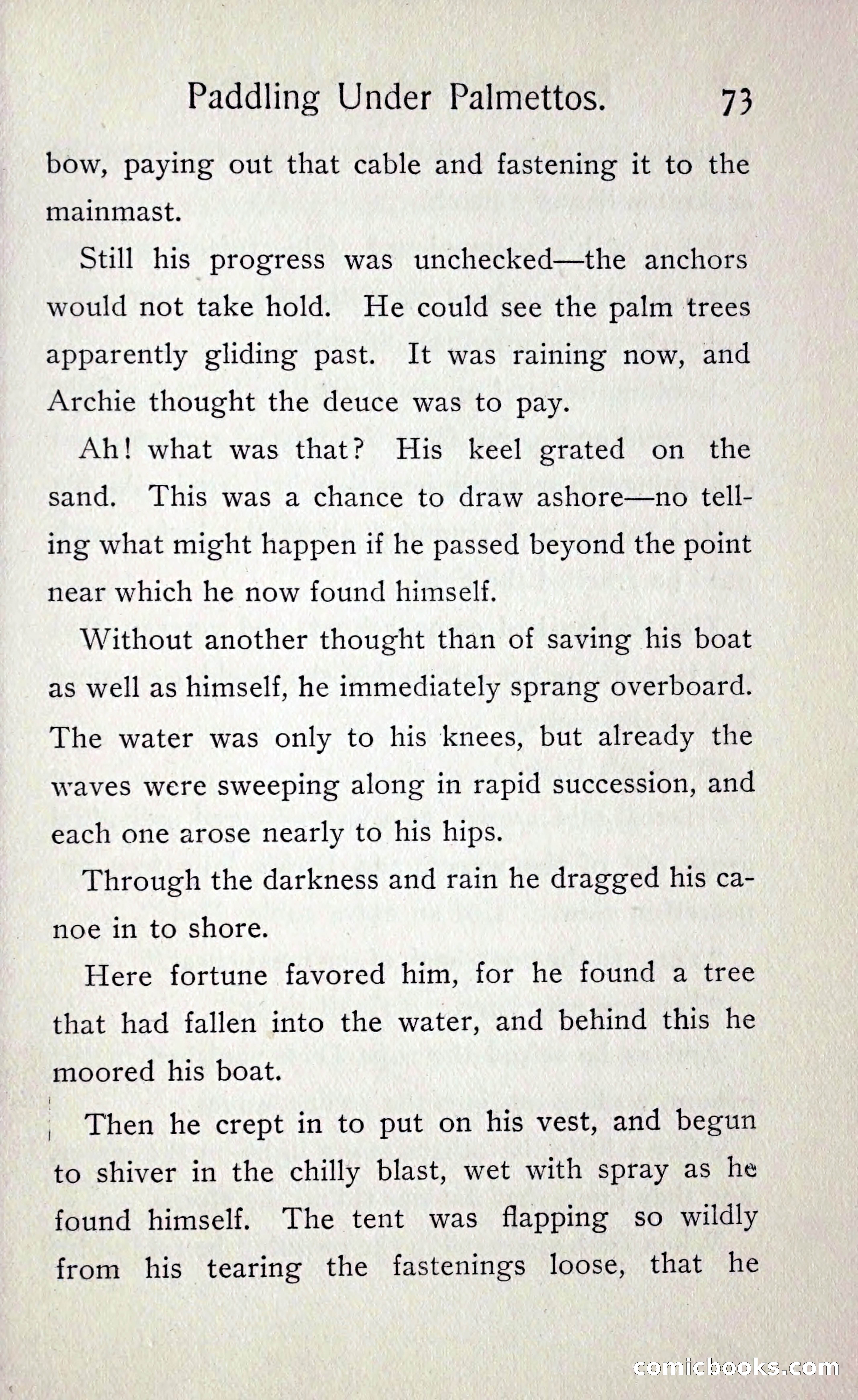 Paddling under Palmettos — page 80 of 299
