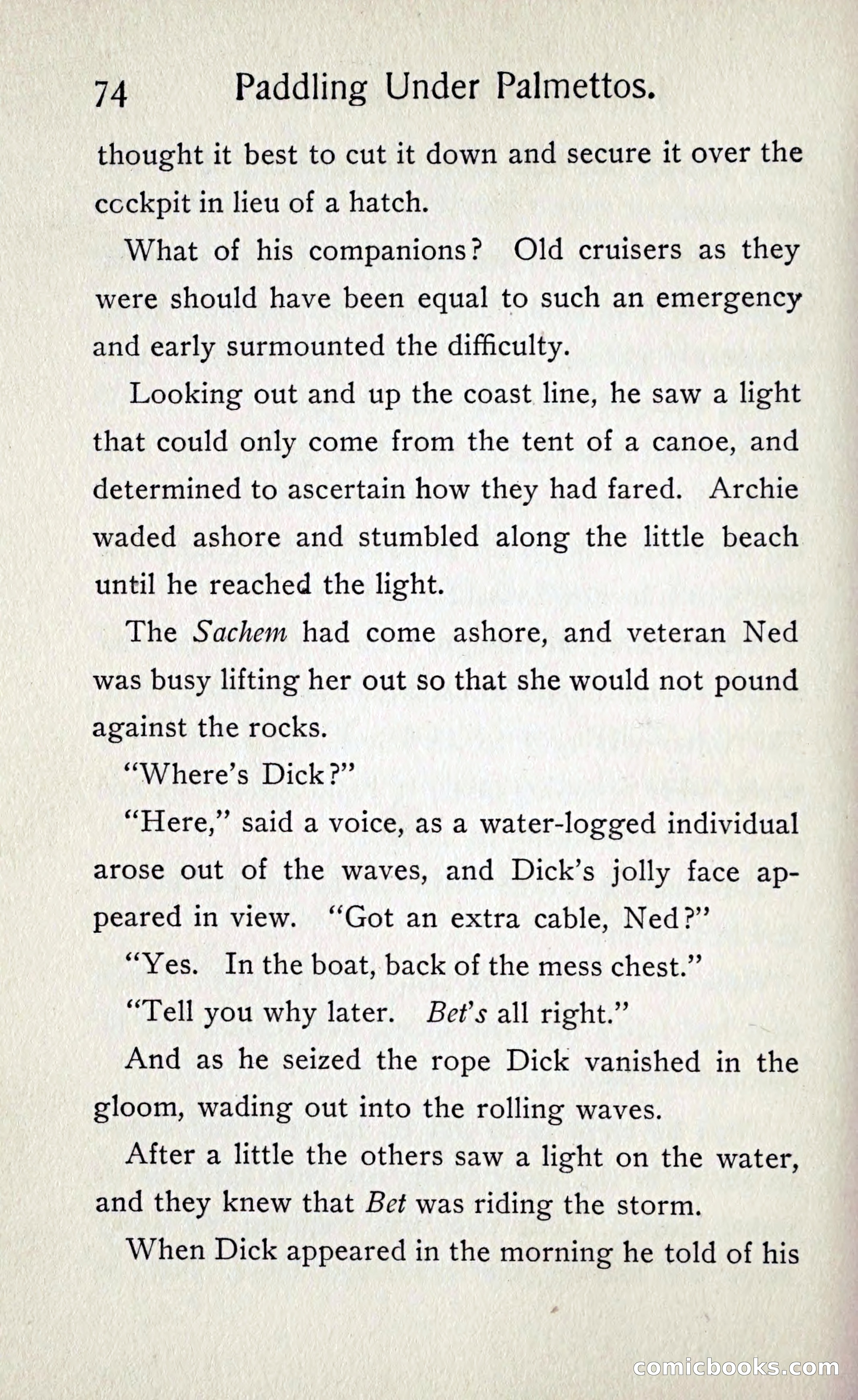 Paddling under Palmettos — page 81 of 299