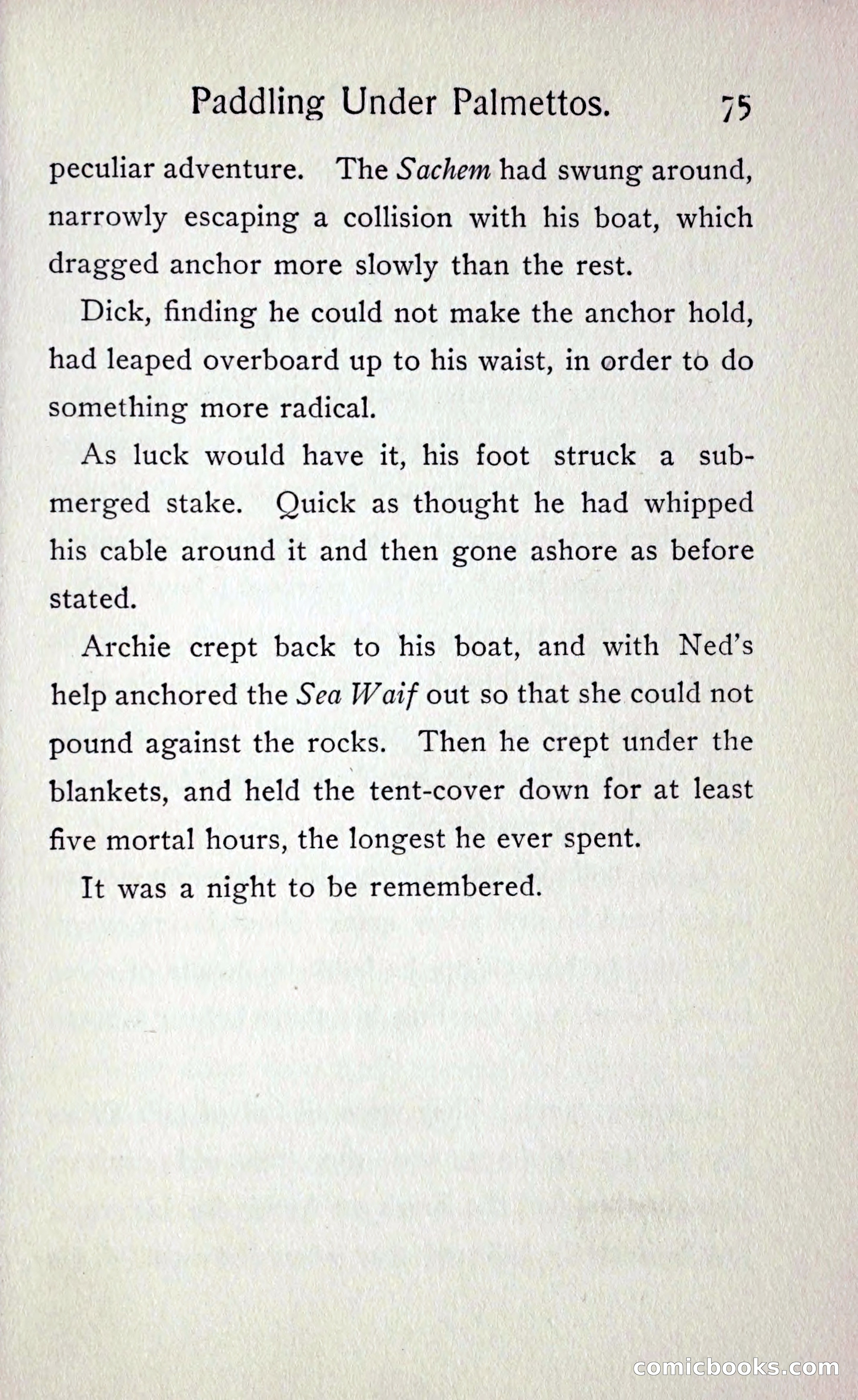 Paddling under Palmettos — page 82 of 299