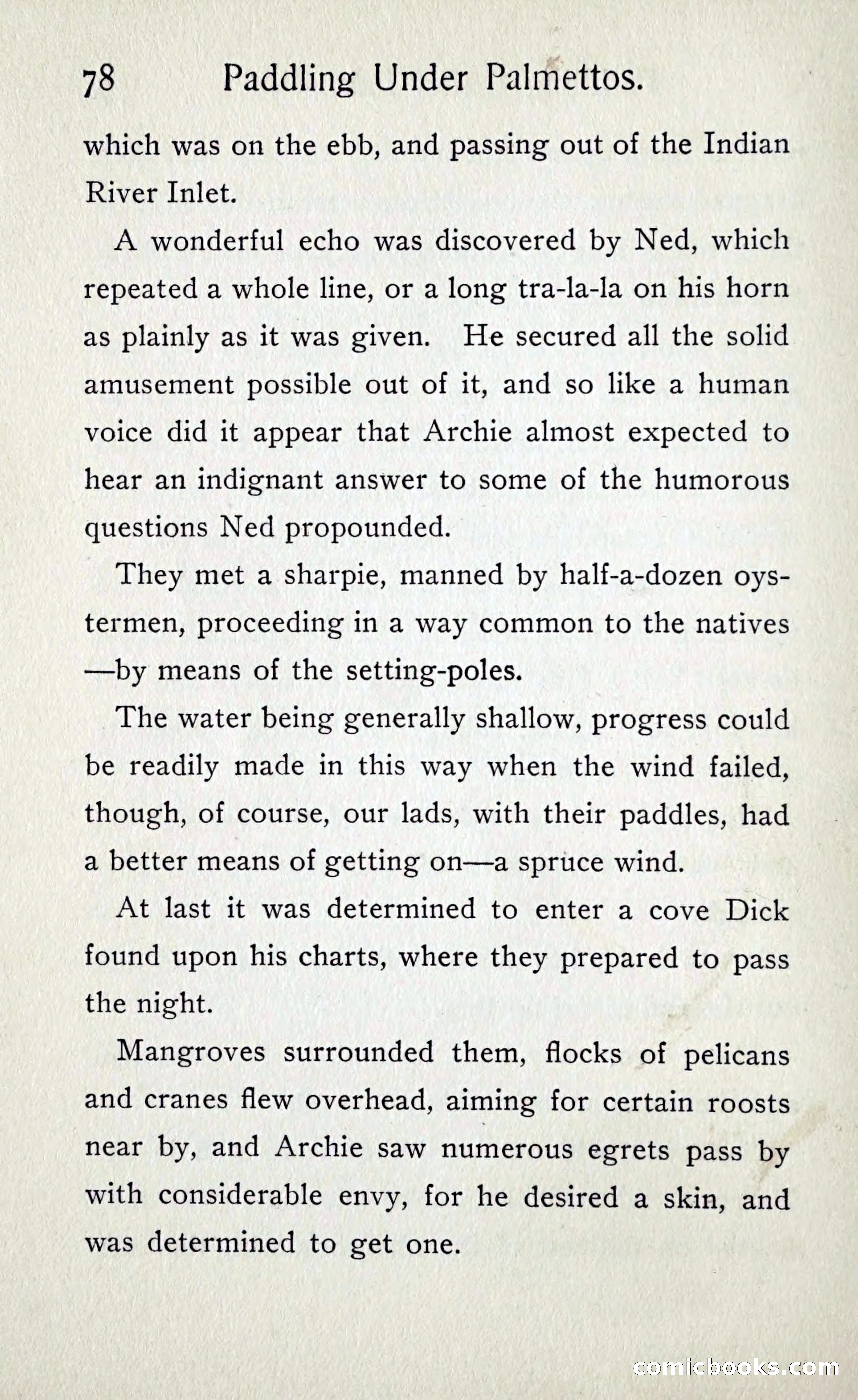 Paddling under Palmettos — page 85 of 299