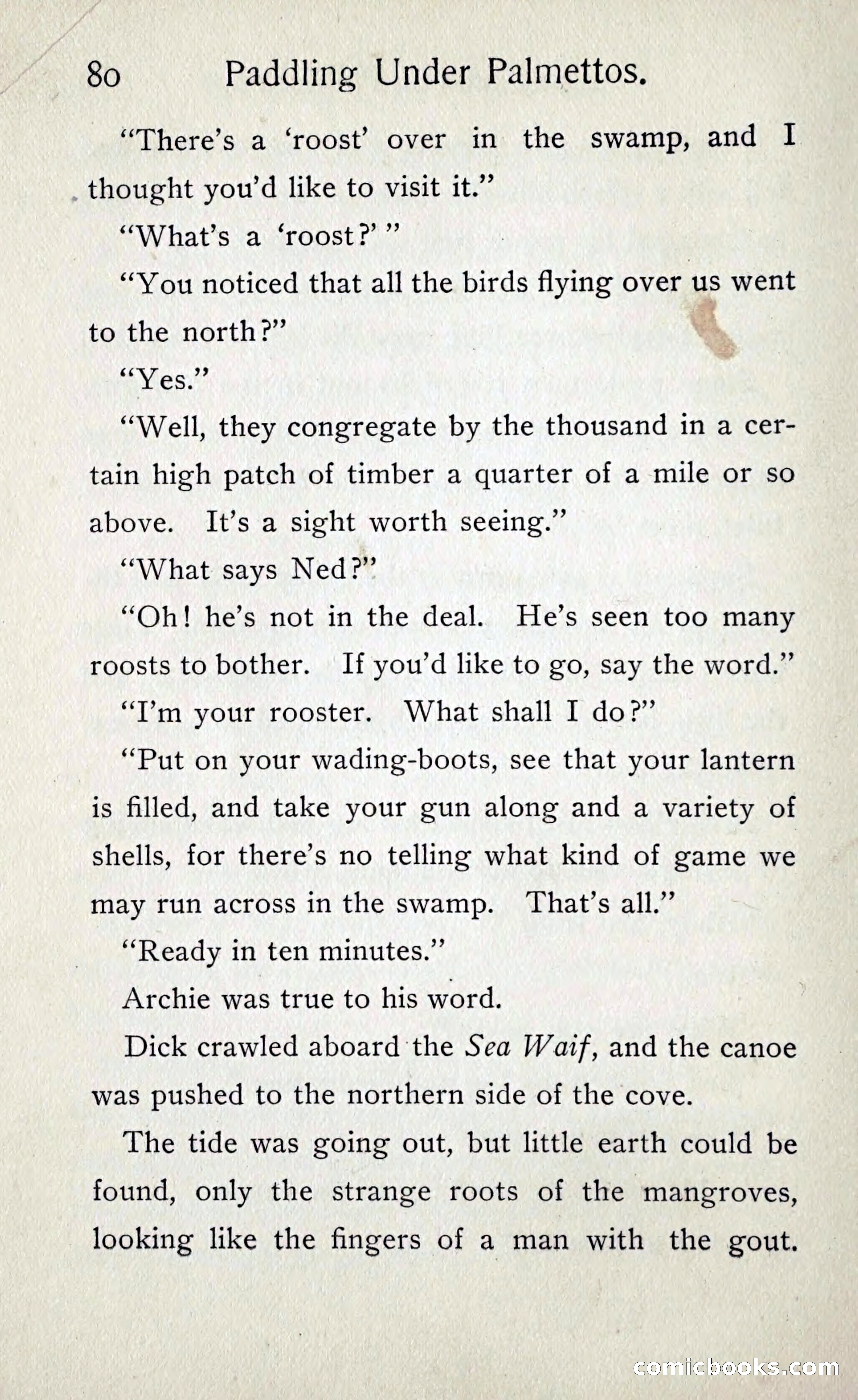 Paddling under Palmettos — page 87 of 299