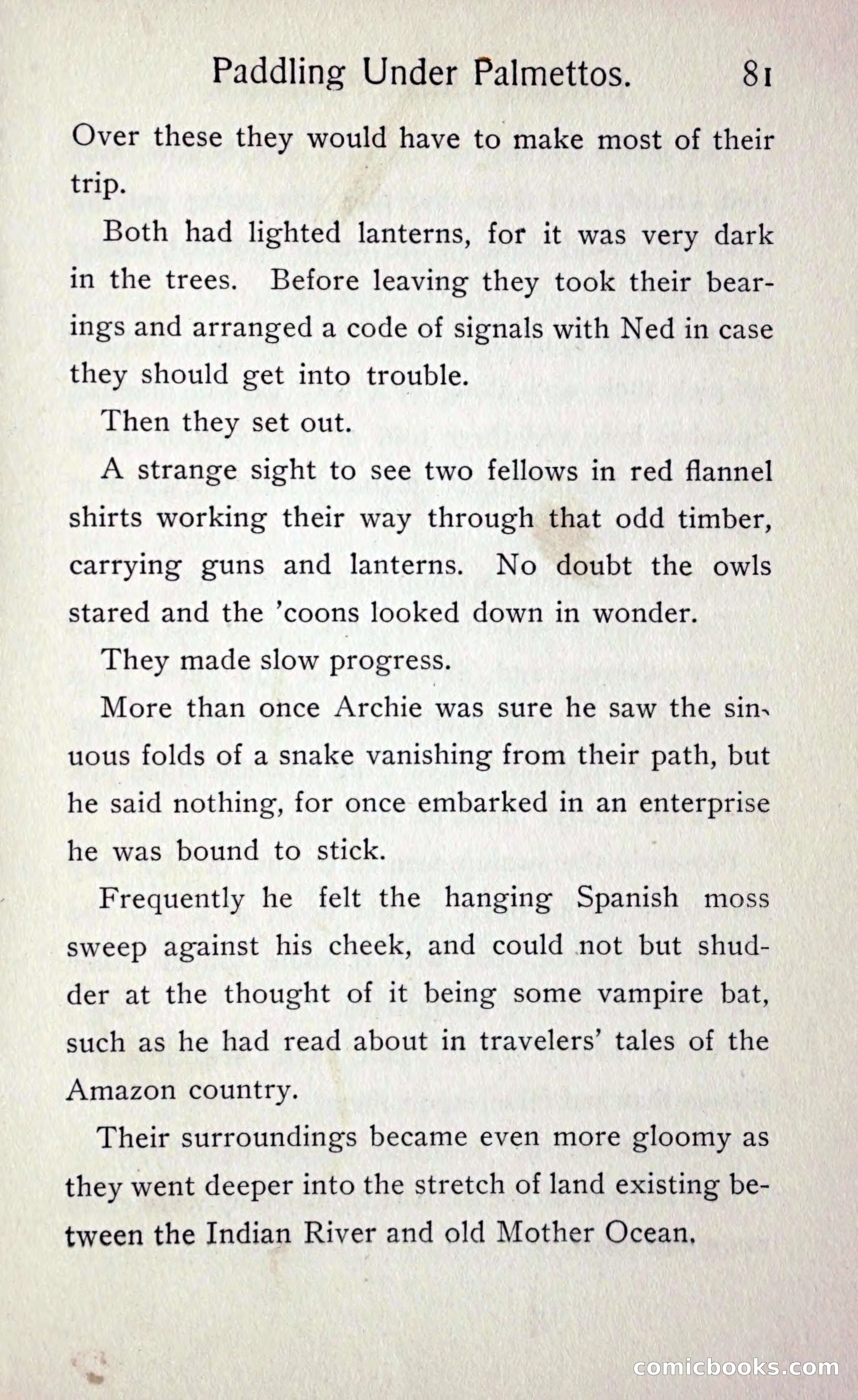 Paddling under Palmettos — page 88 of 299