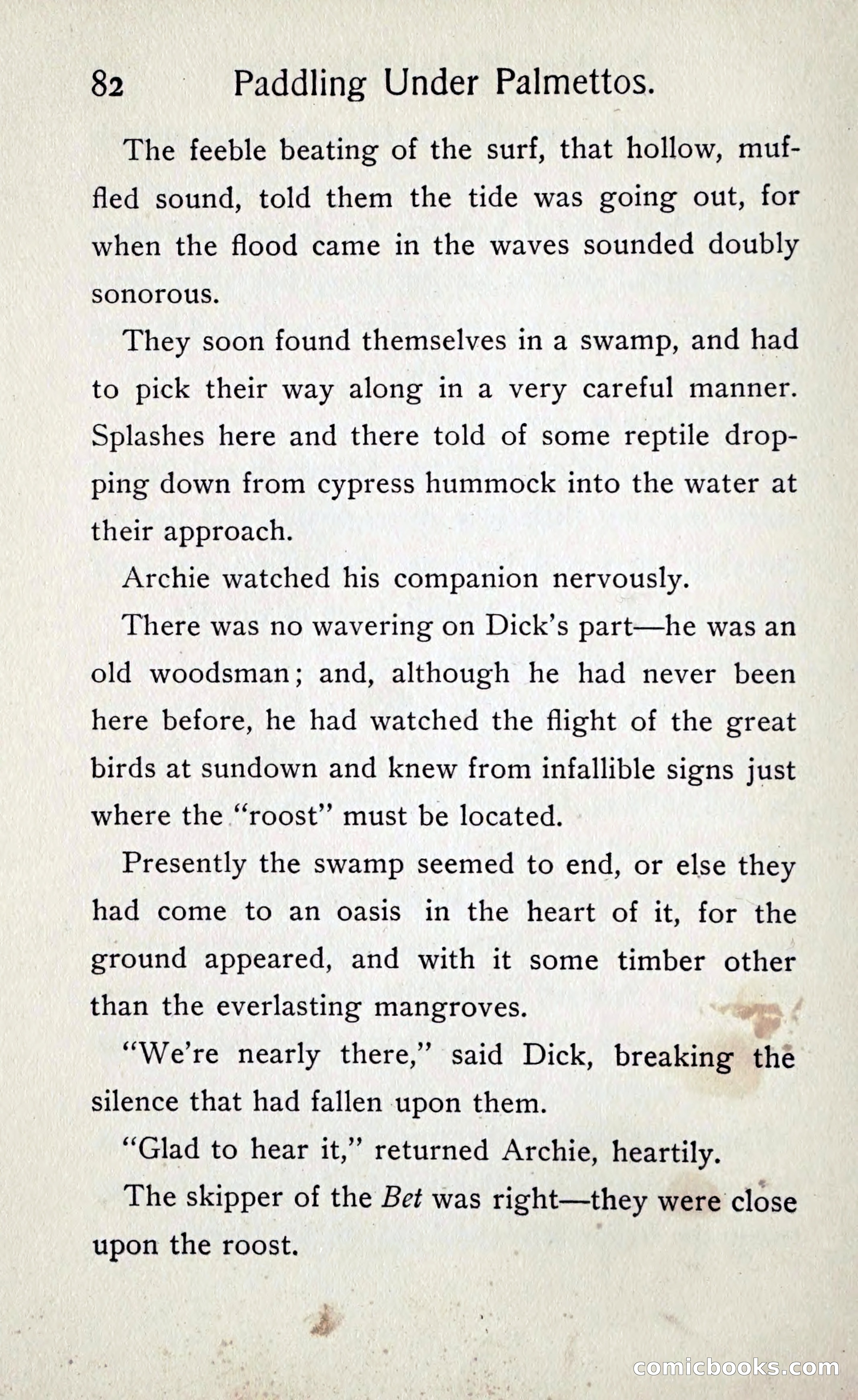 Paddling under Palmettos — page 89 of 299