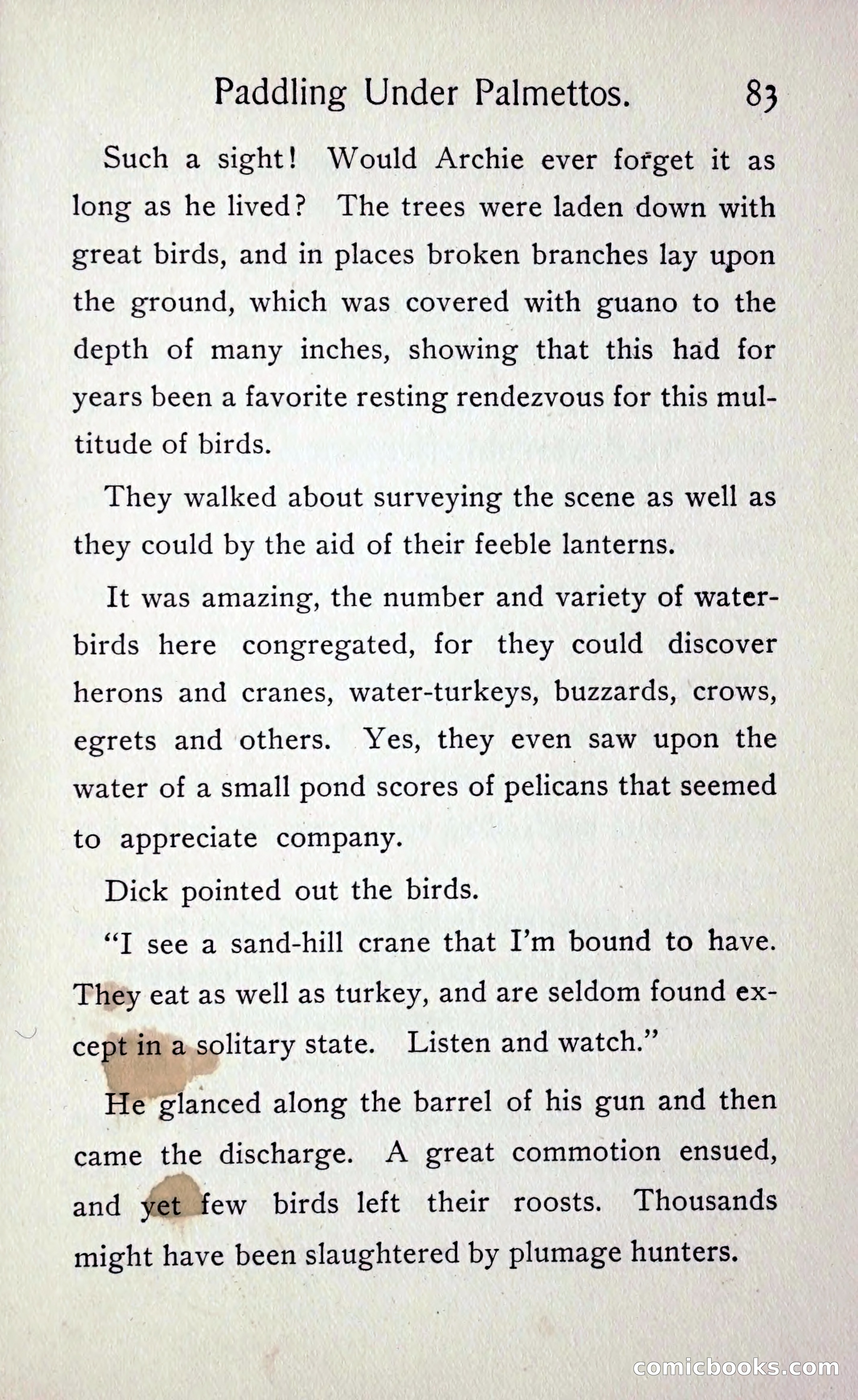 Paddling under Palmettos — page 90 of 299