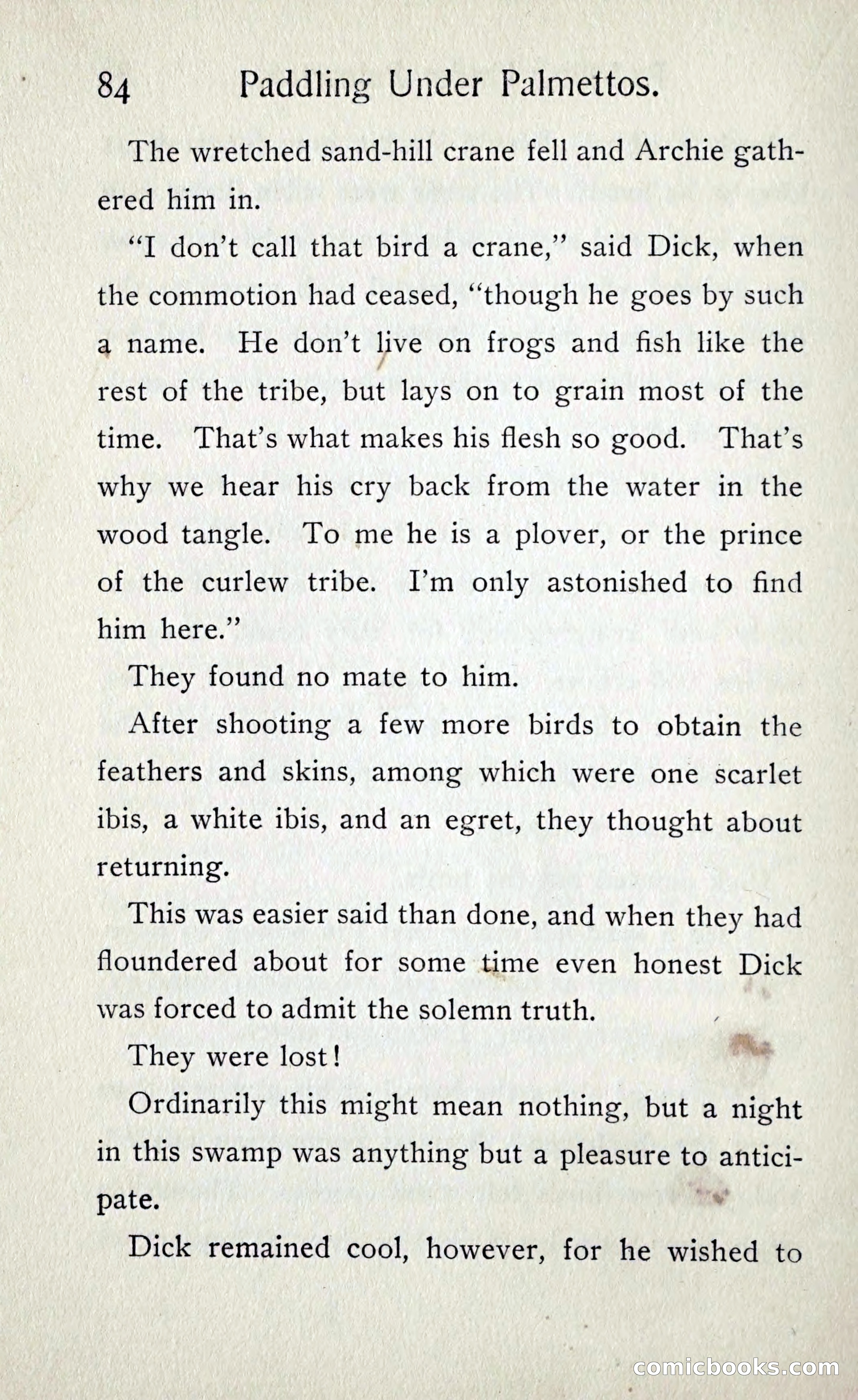 Paddling under Palmettos — page 91 of 299