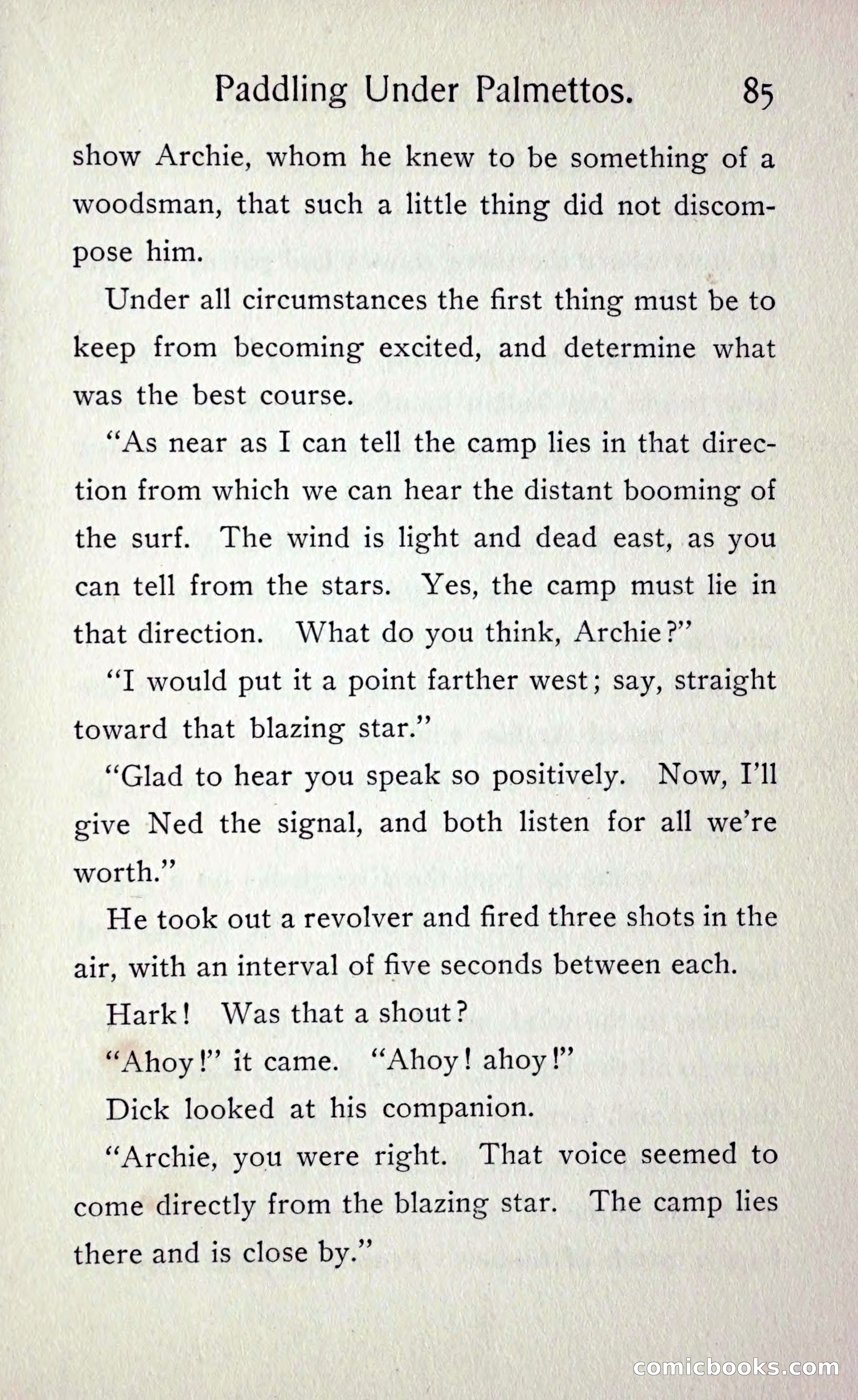 Paddling under Palmettos — page 92 of 299