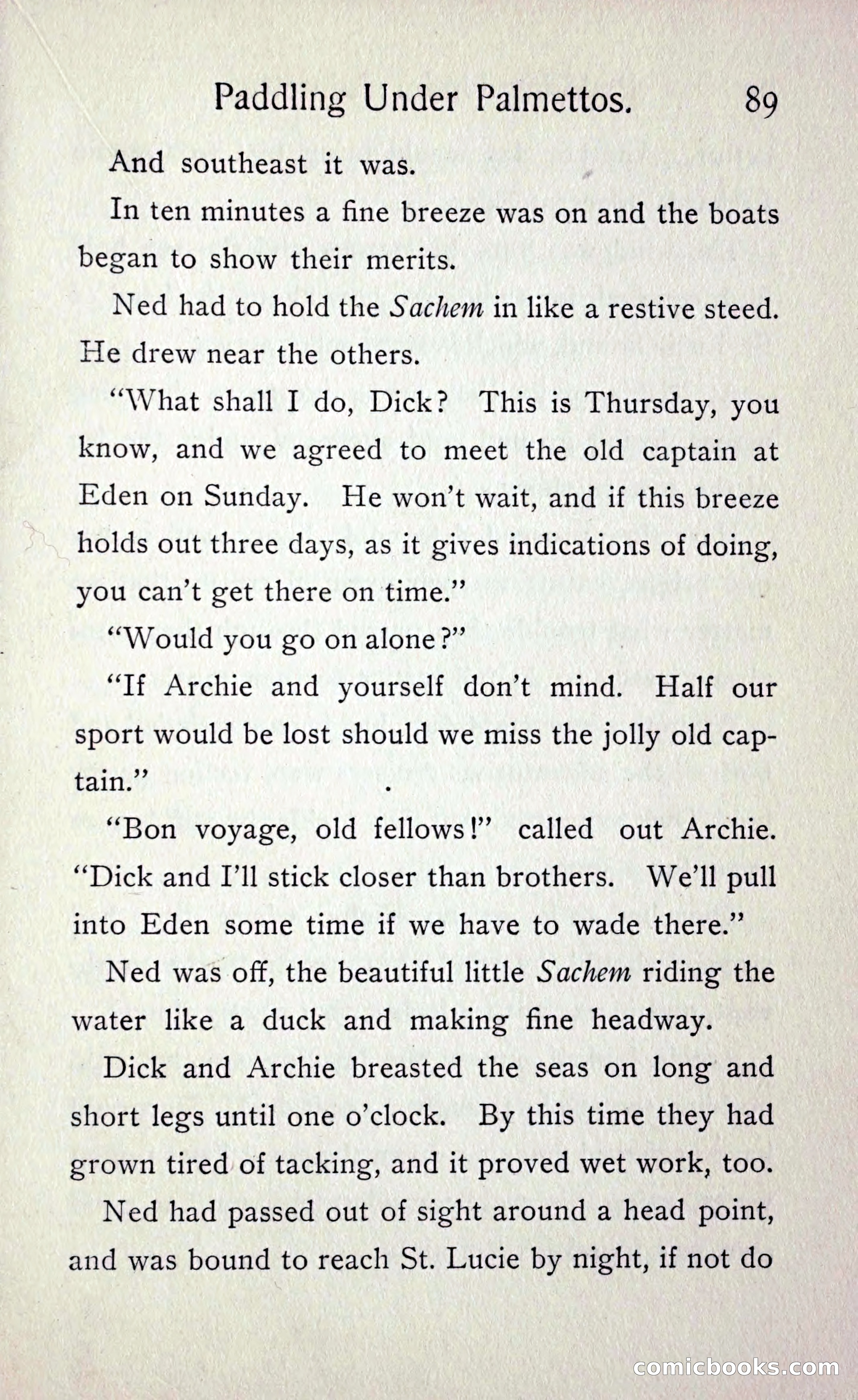 Paddling under Palmettos — page 96 of 299