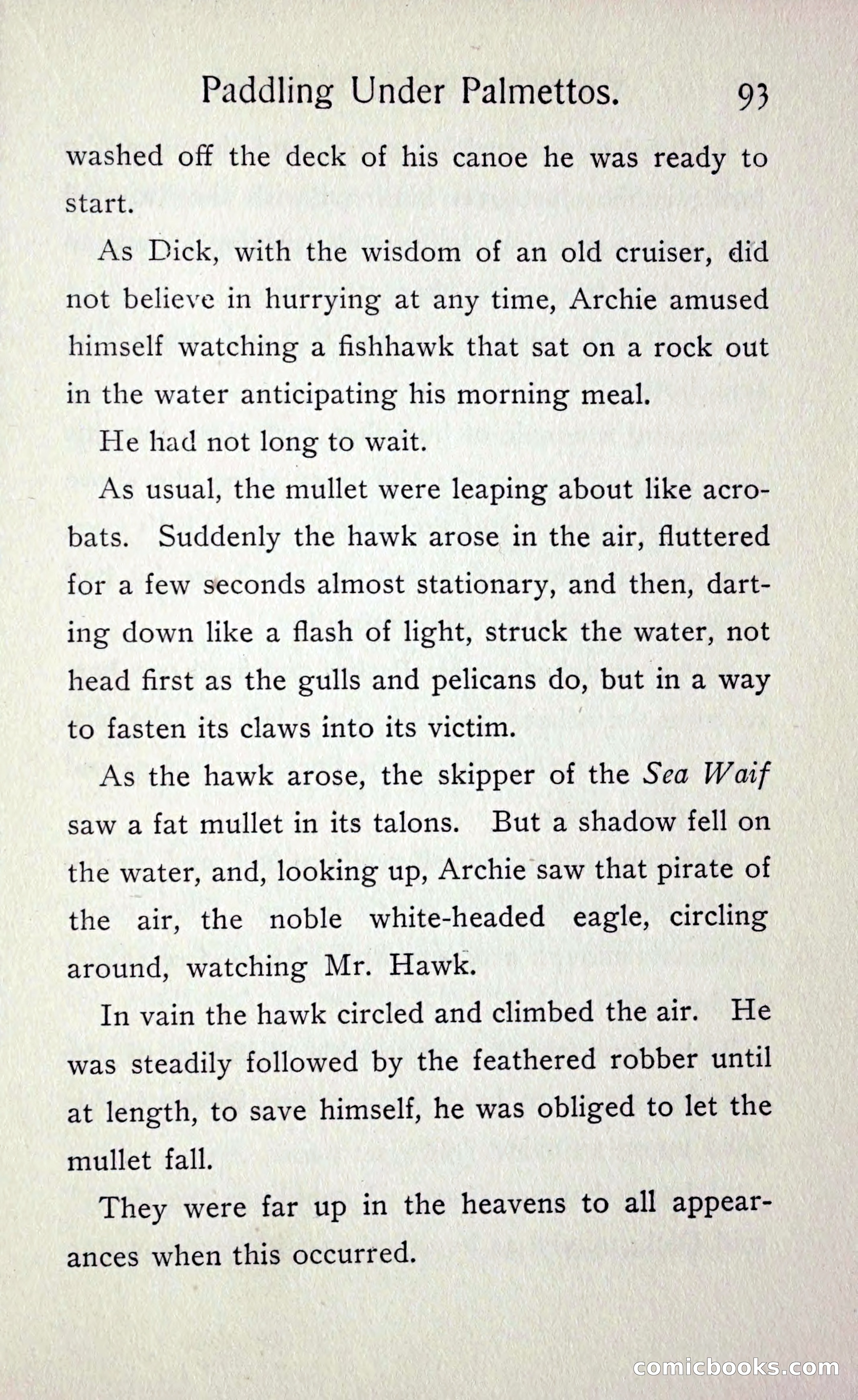 Paddling under Palmettos — page 100 of 299