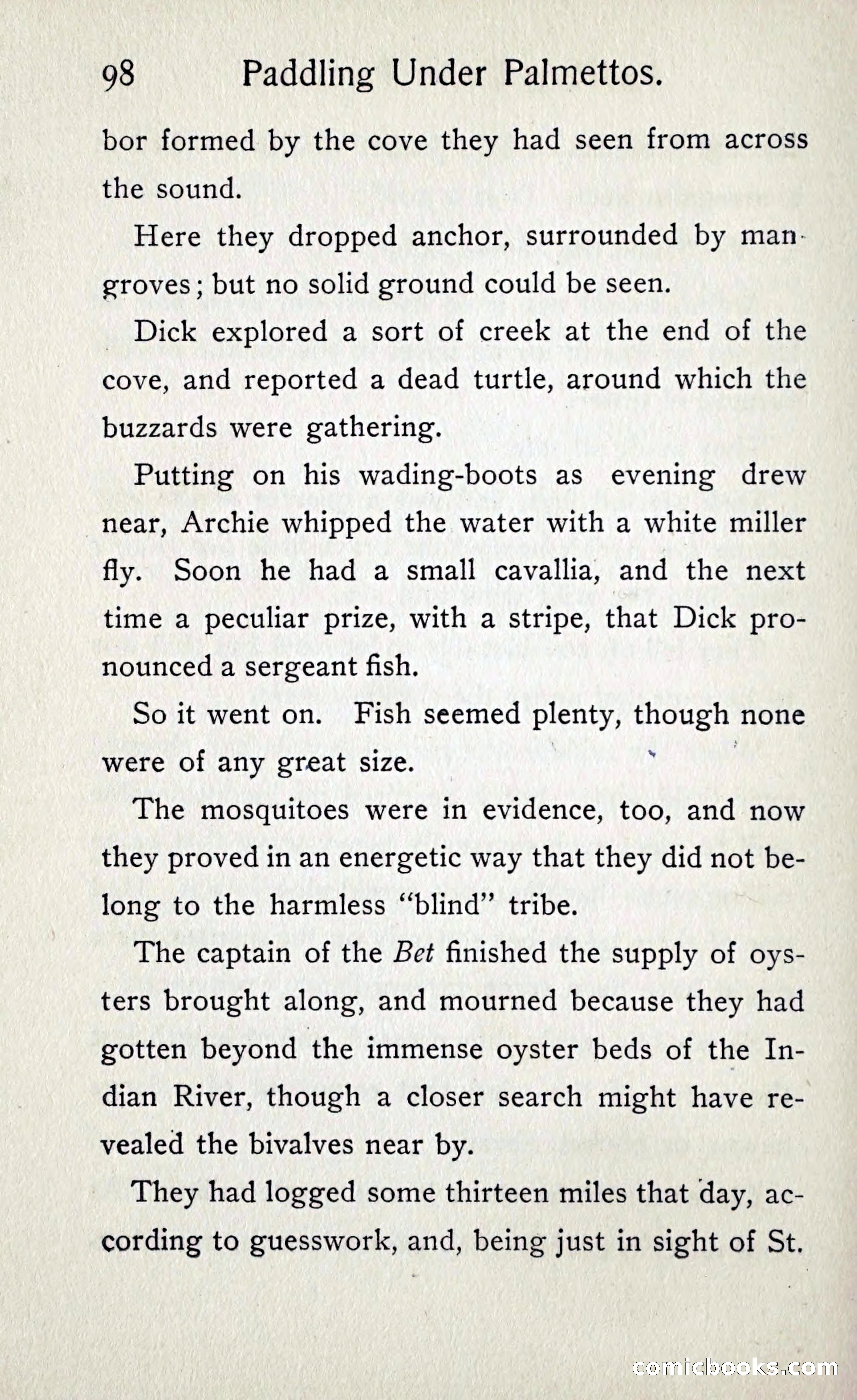 Paddling under Palmettos — page 105 of 299