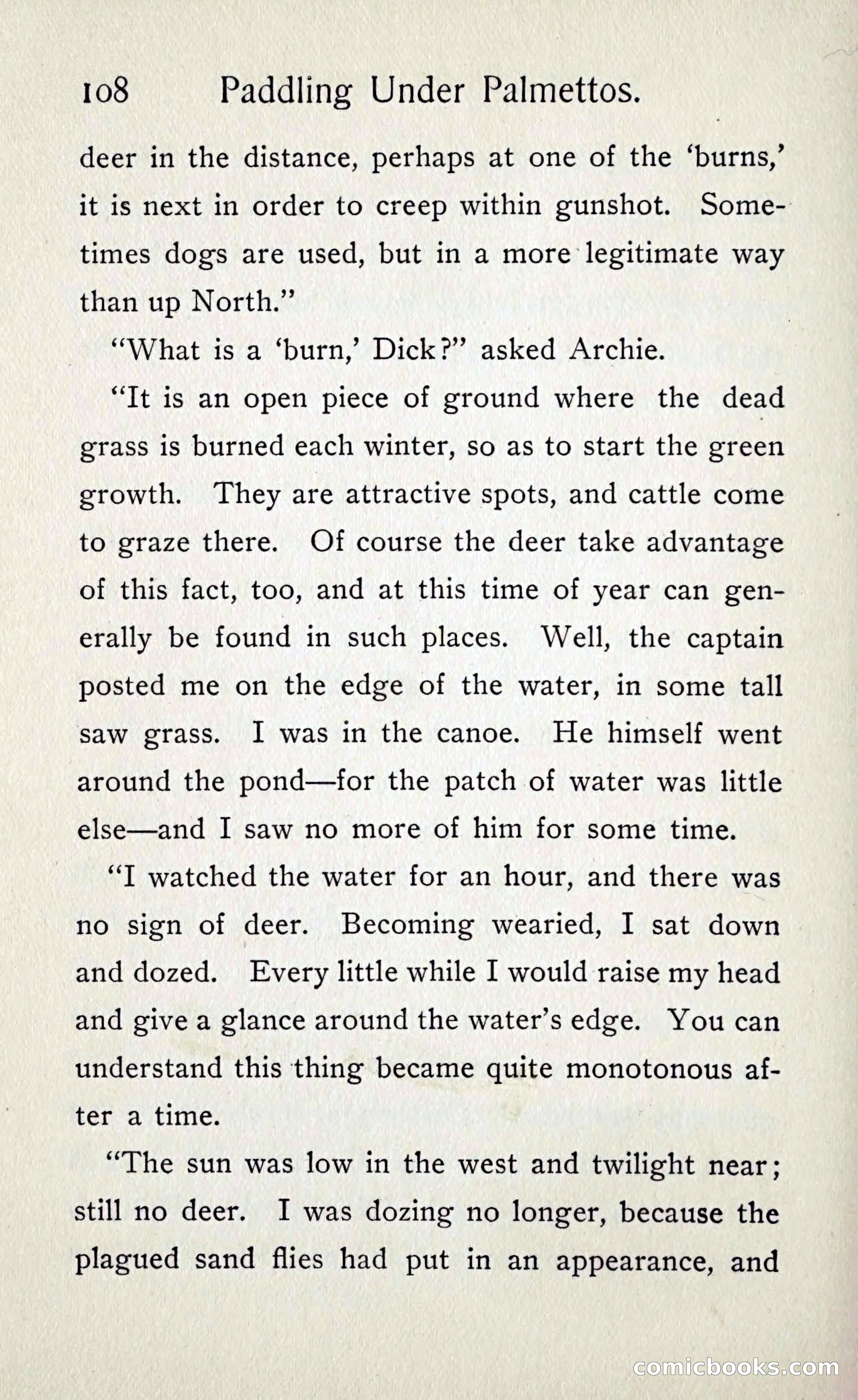 Paddling under Palmettos — page 115 of 299