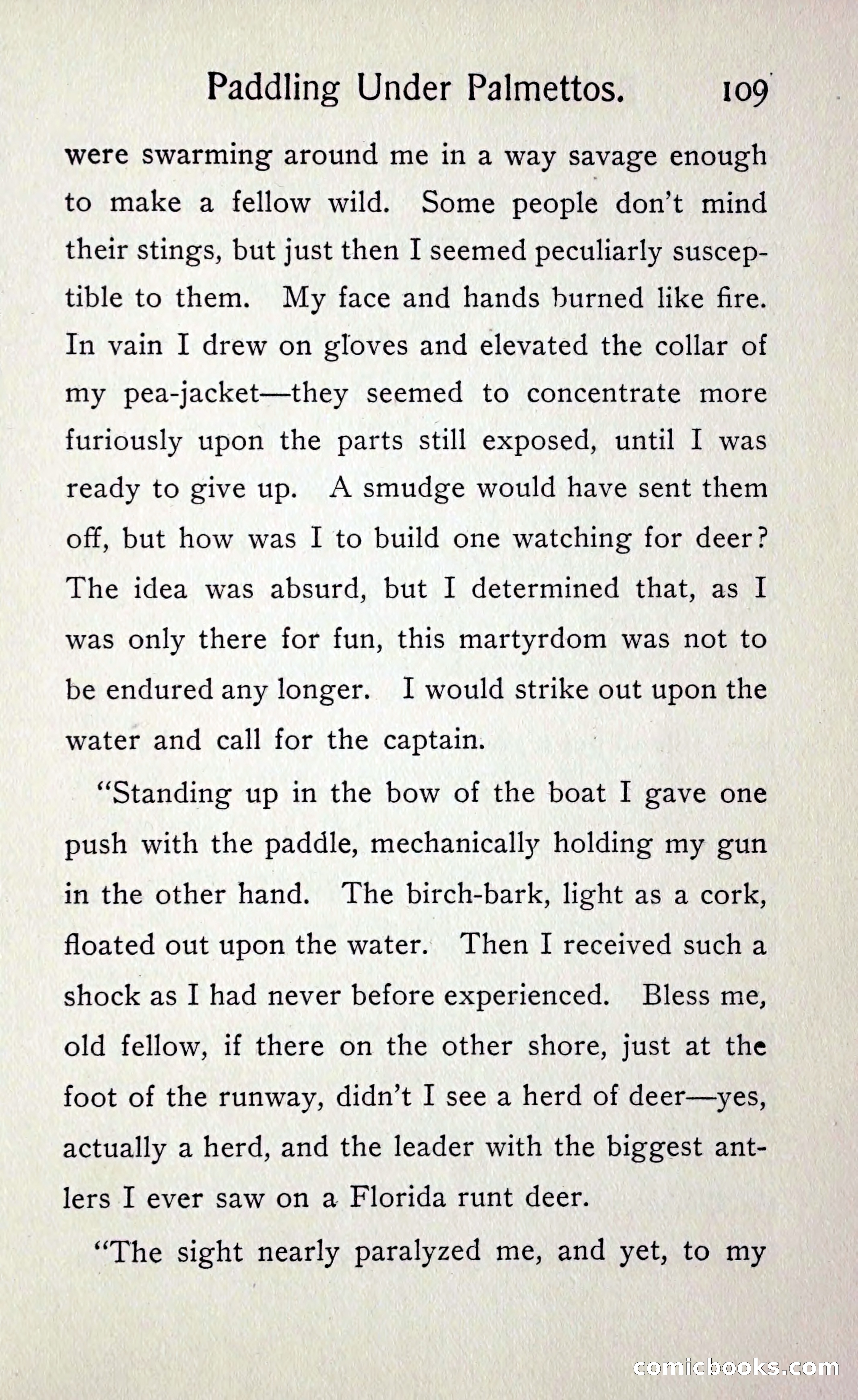 Paddling under Palmettos — page 116 of 299