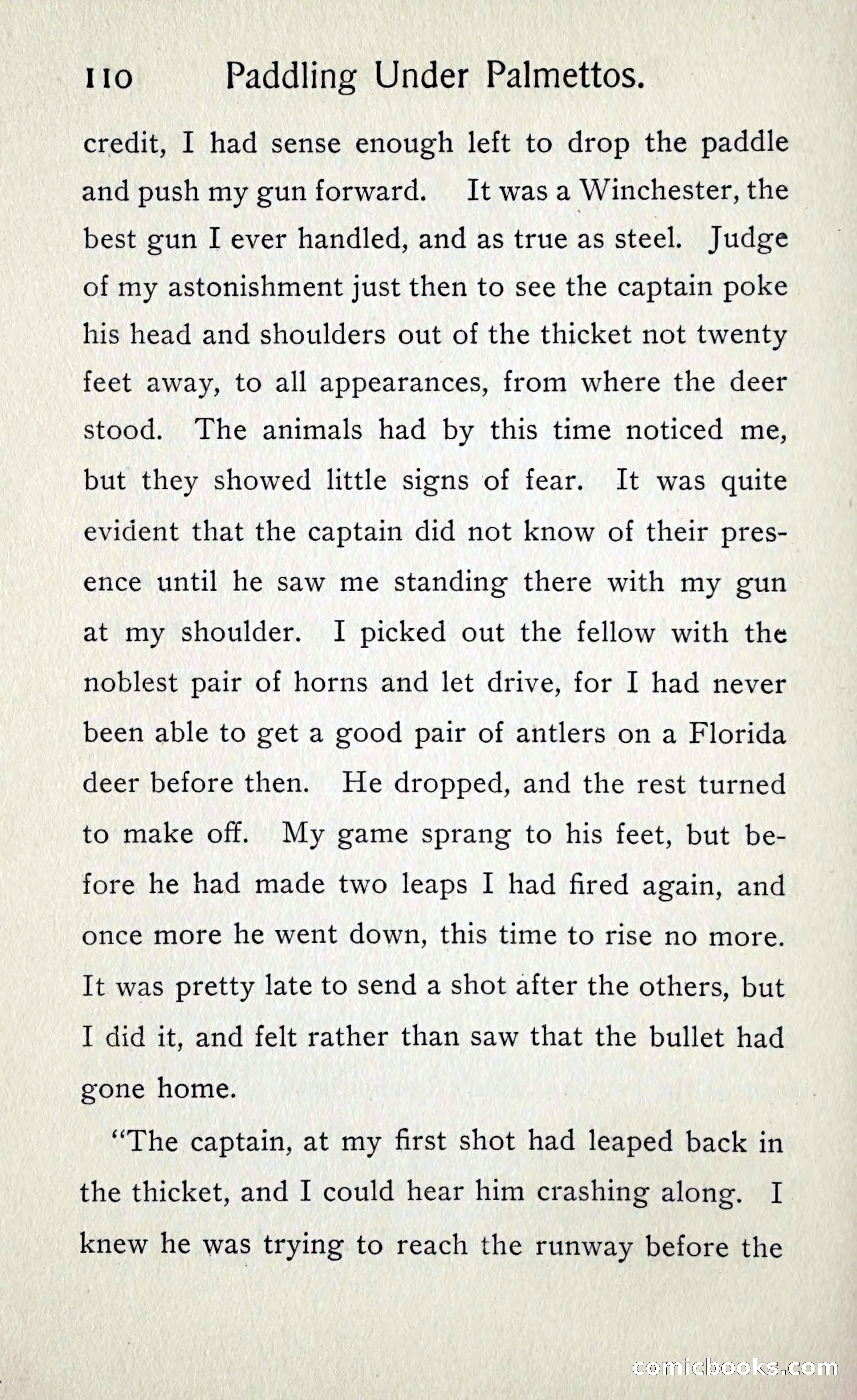 Paddling under Palmettos — page 117 of 299
