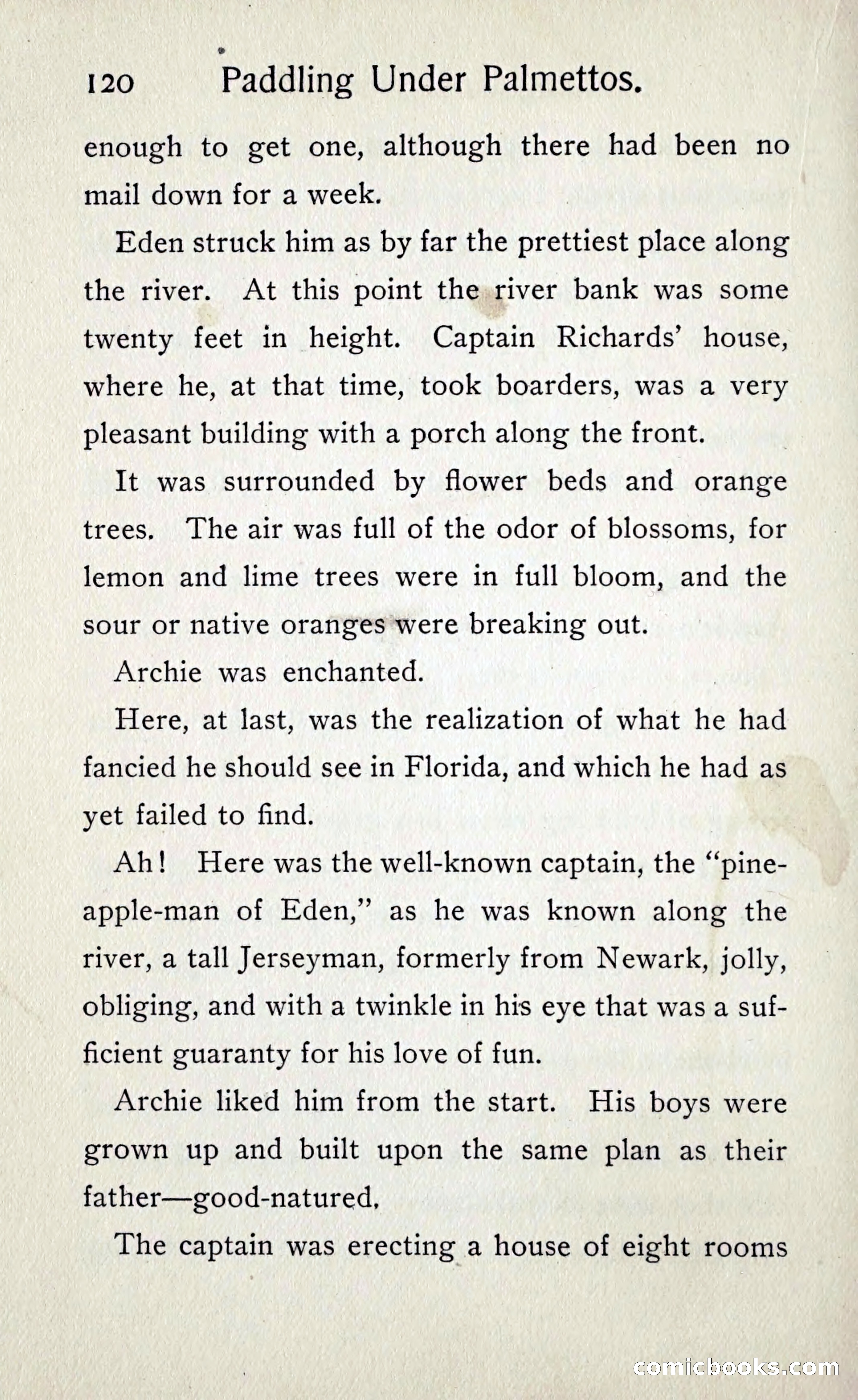 Paddling under Palmettos — page 127 of 299