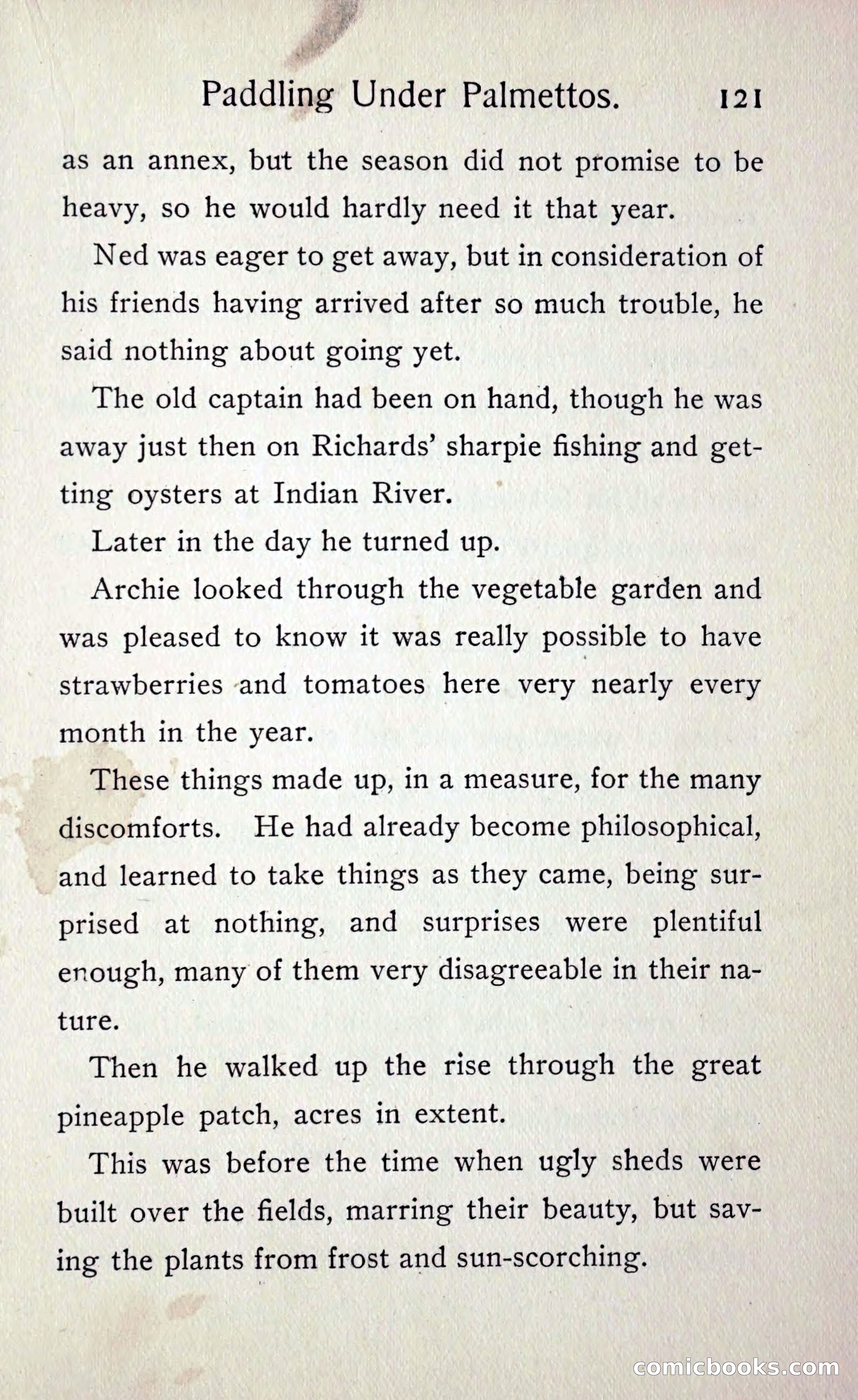 Paddling under Palmettos — page 128 of 299