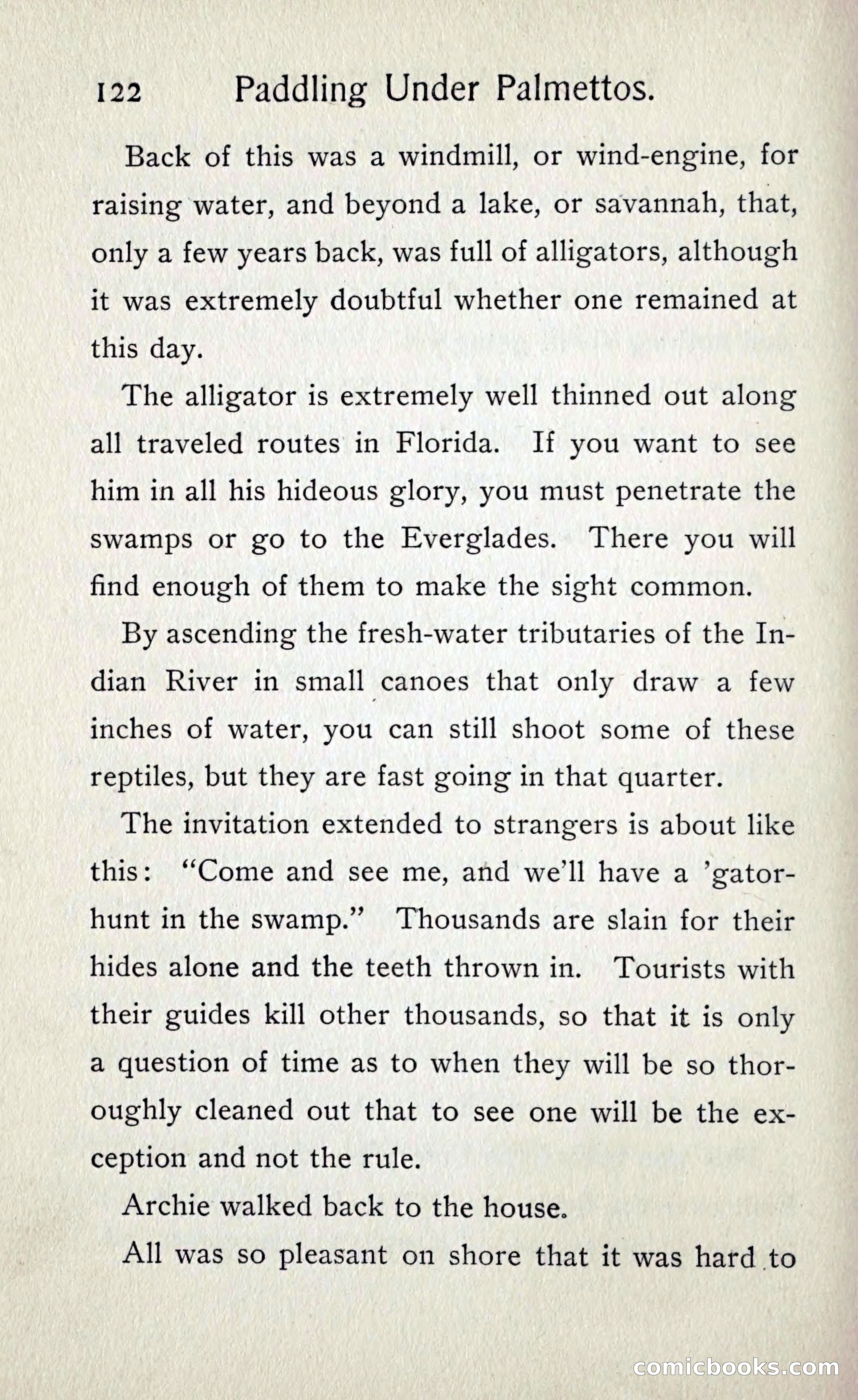 Paddling under Palmettos — page 129 of 299