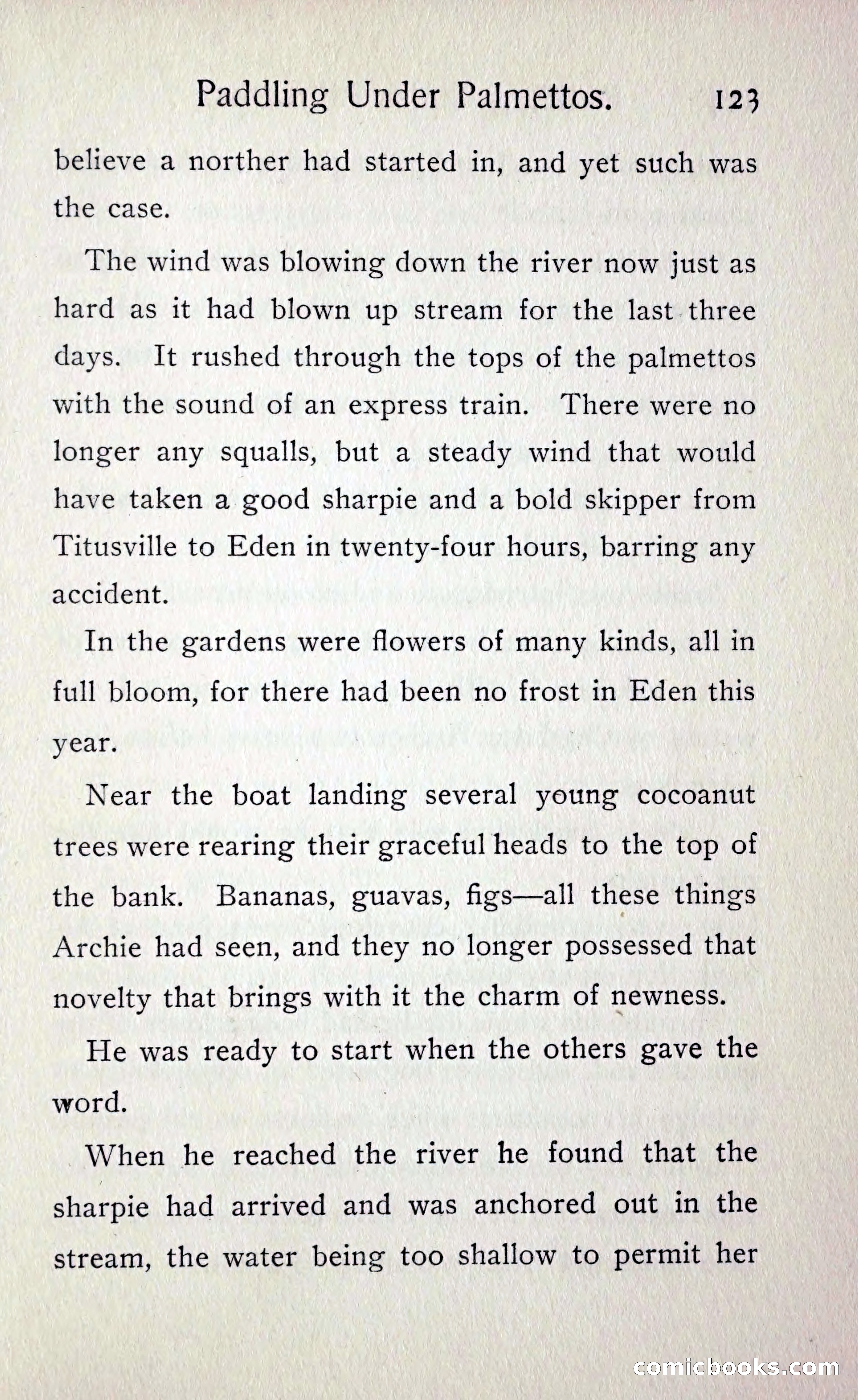 Paddling under Palmettos — page 130 of 299