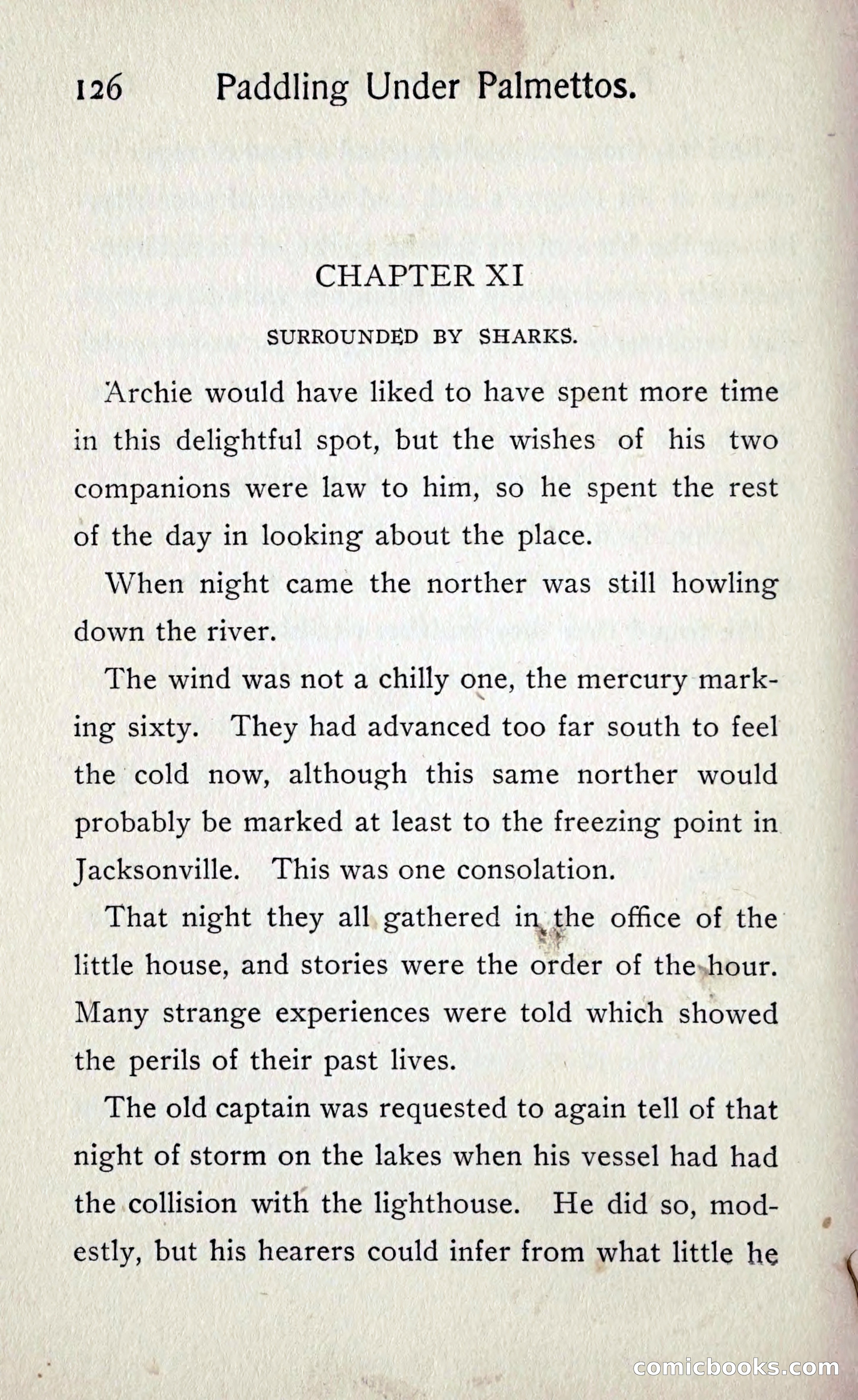 Paddling under Palmettos — page 133 of 299