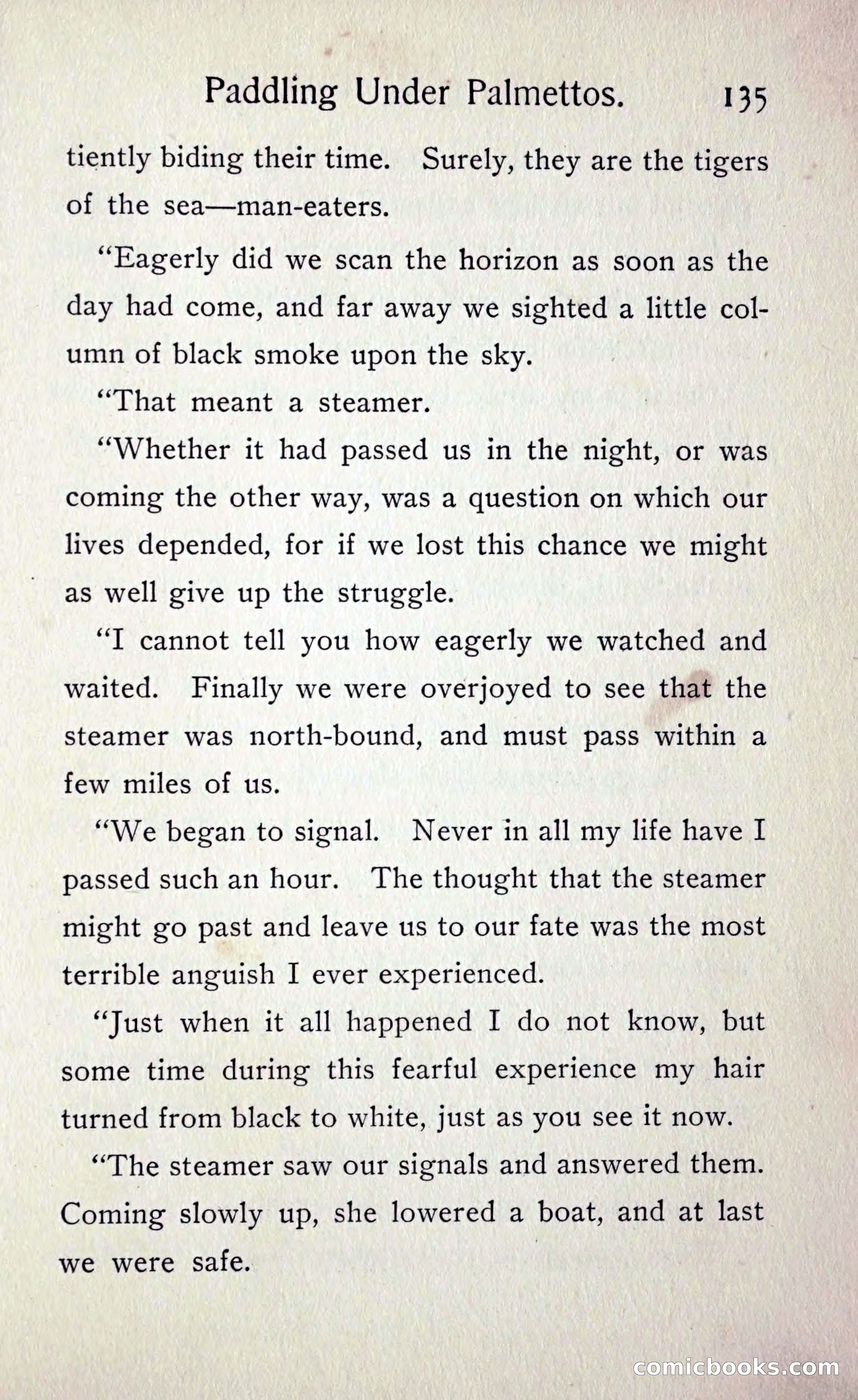 Paddling under Palmettos — page 142 of 299