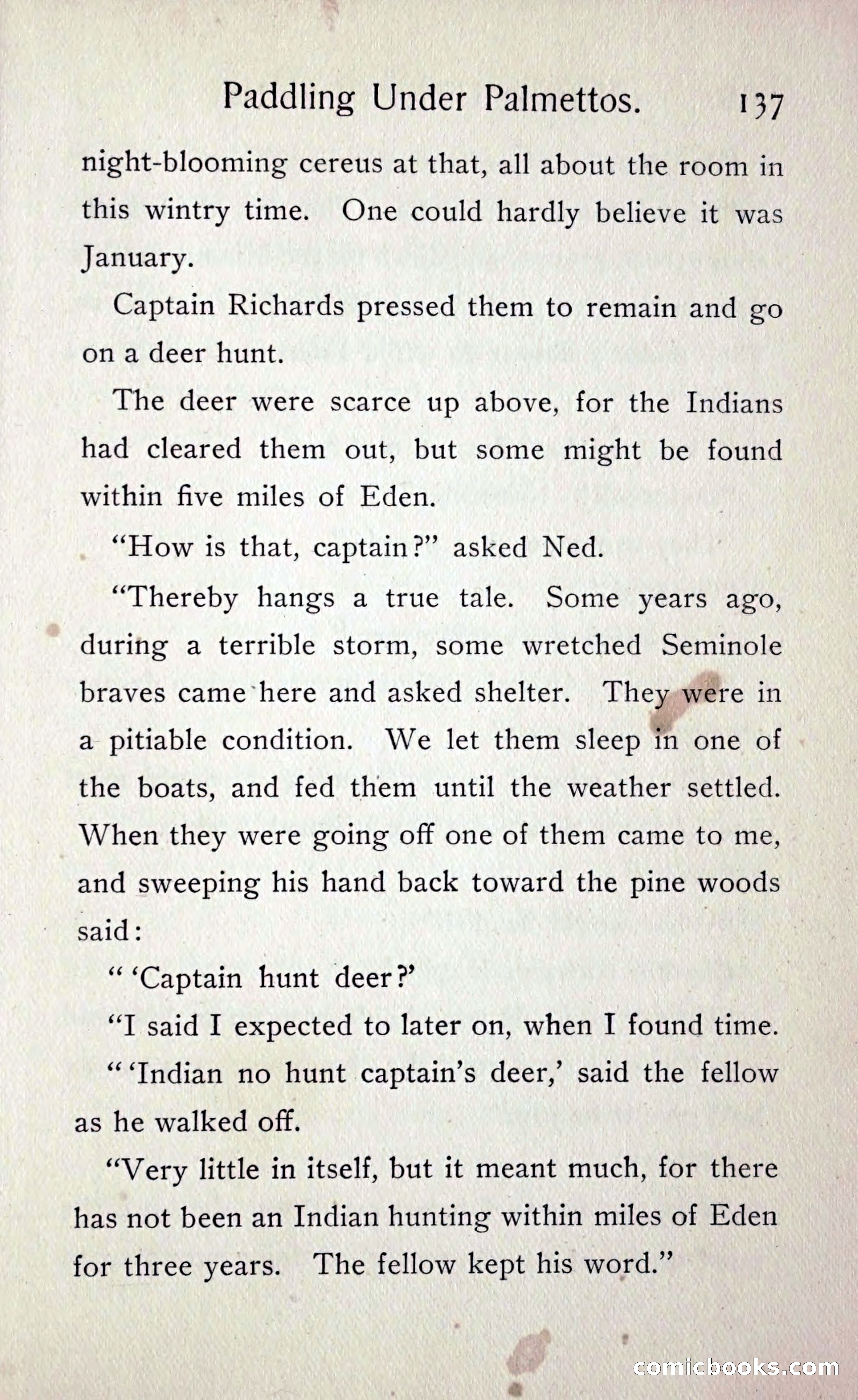 Paddling under Palmettos — page 144 of 299