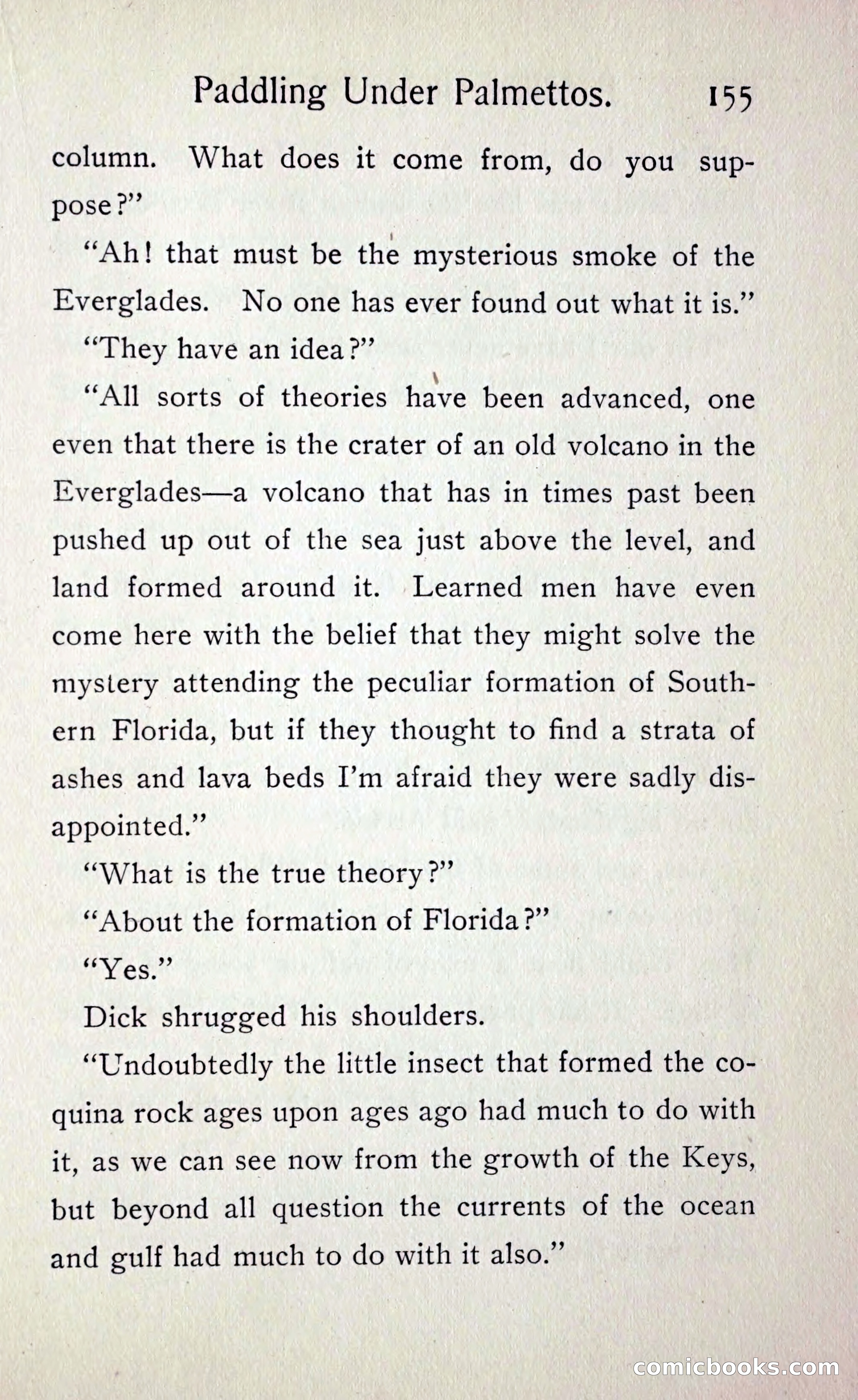 Paddling under Palmettos — page 162 of 299