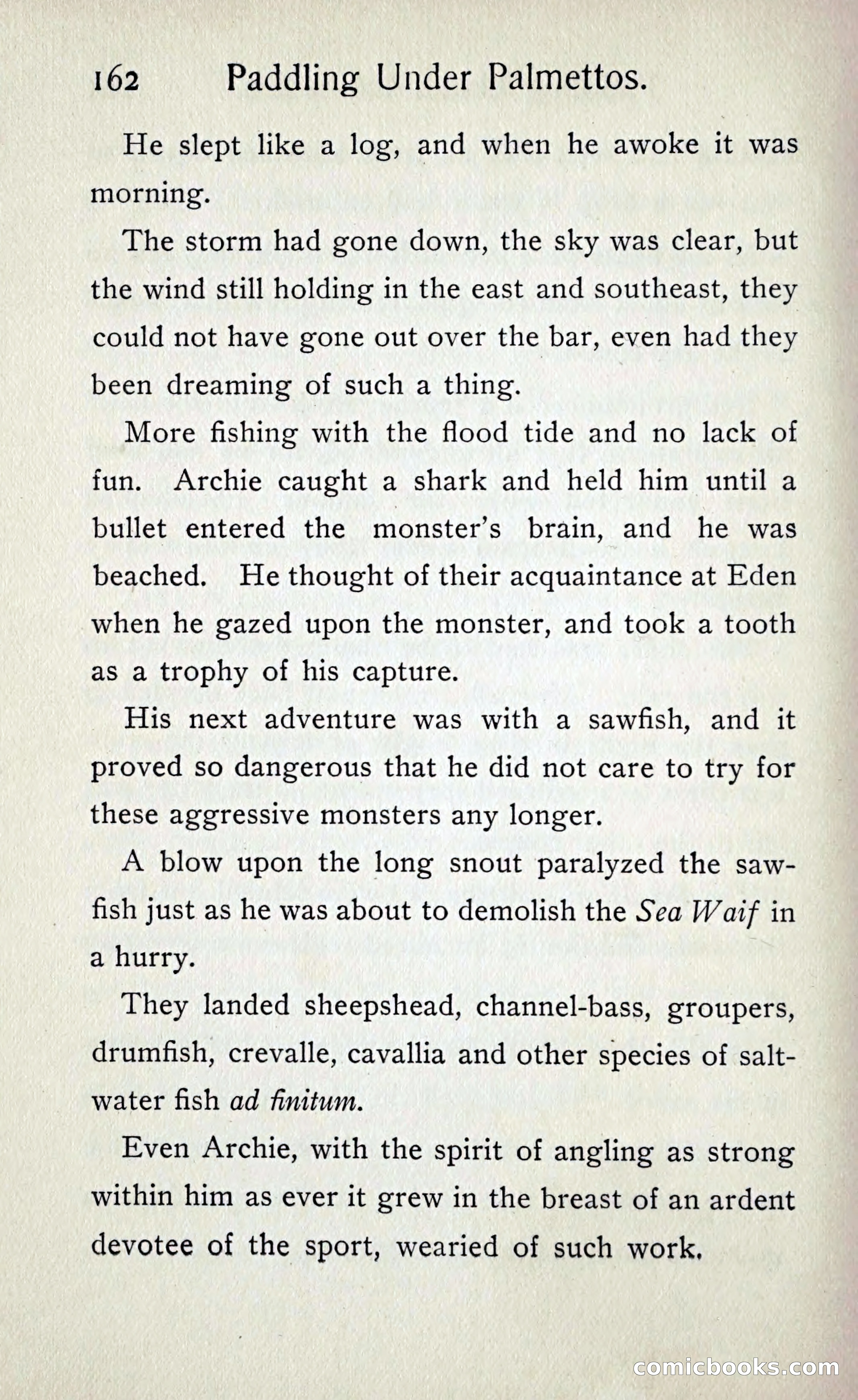 Paddling under Palmettos — page 169 of 299