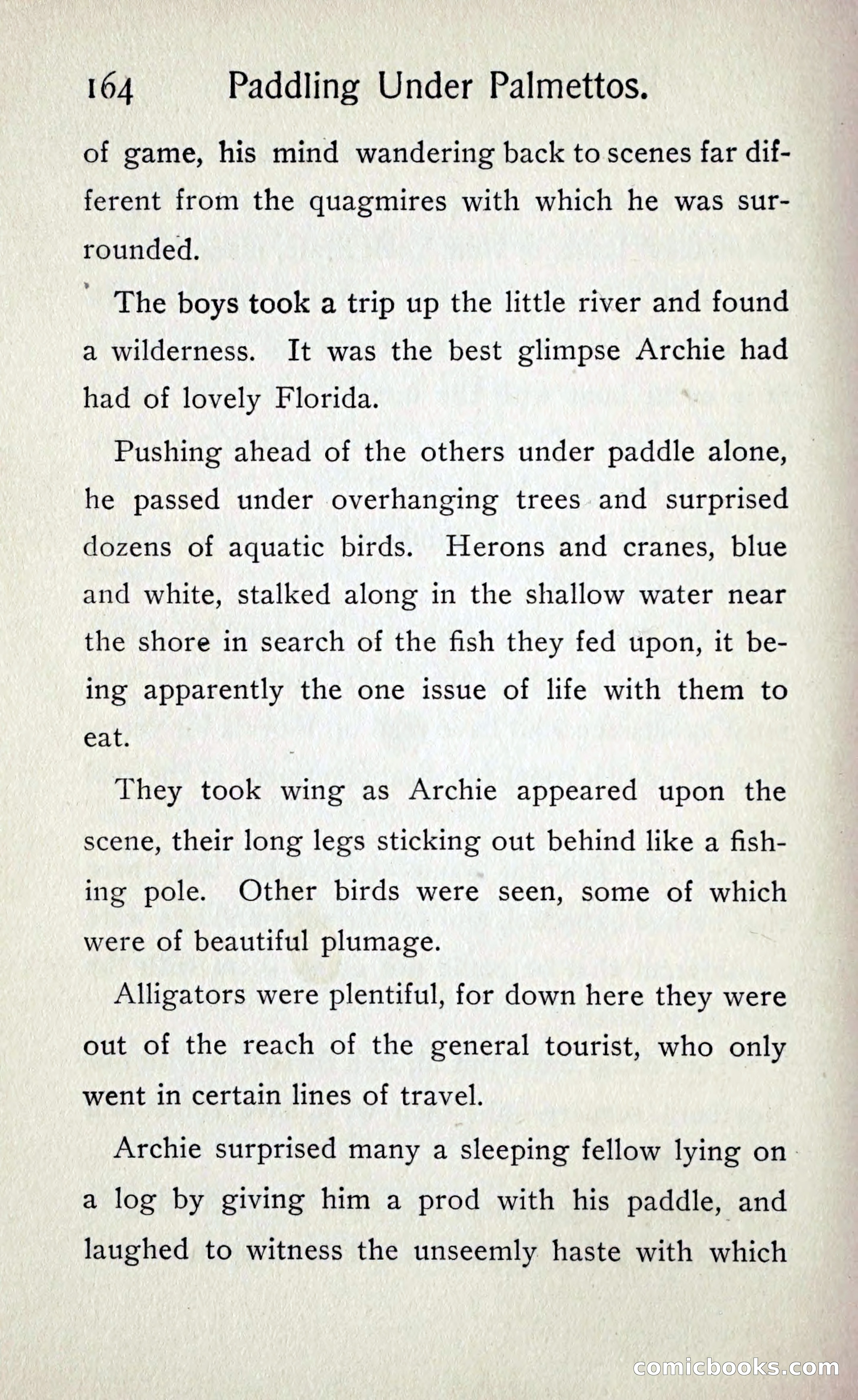 Paddling under Palmettos — page 171 of 299