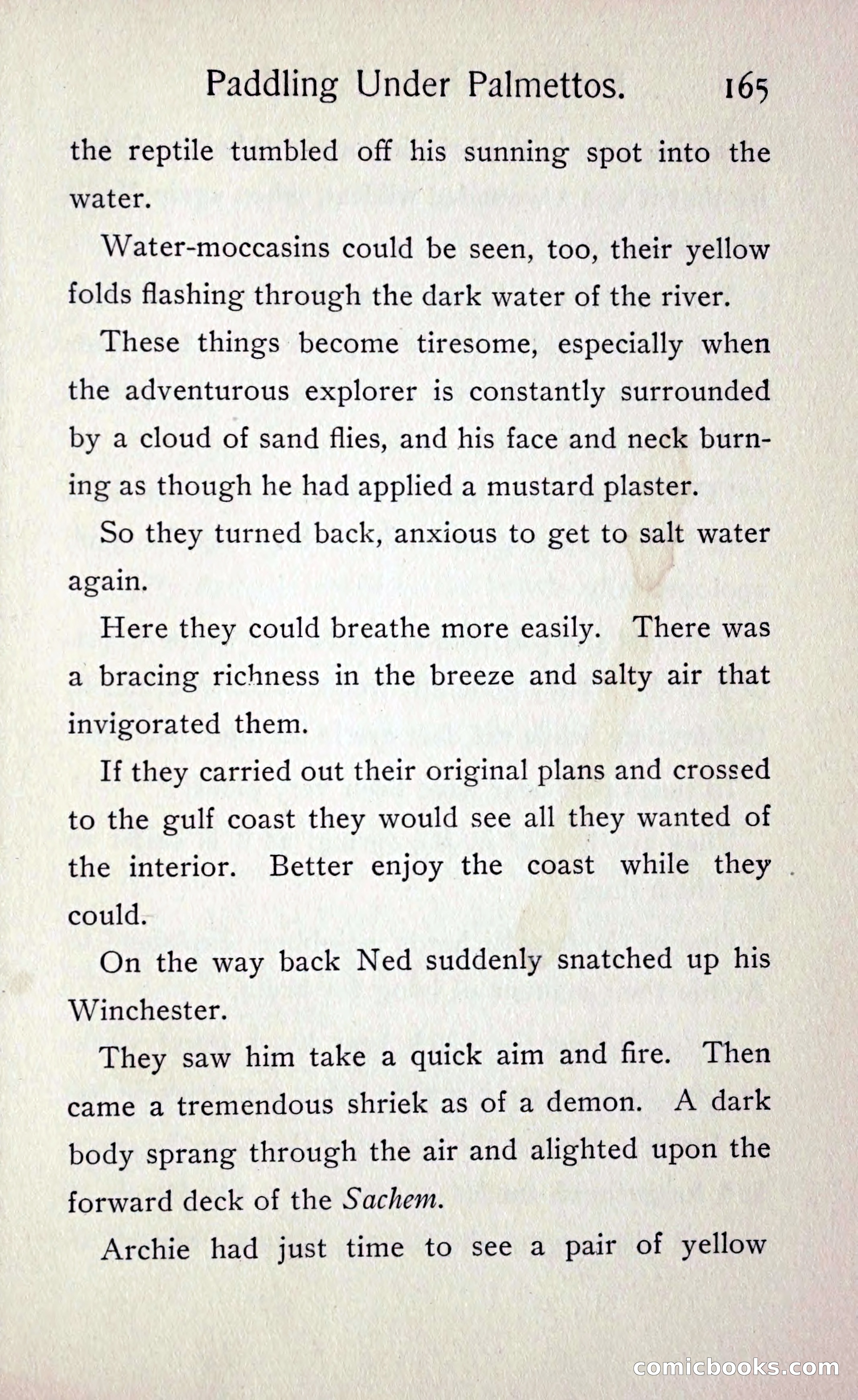 Paddling under Palmettos — page 172 of 299