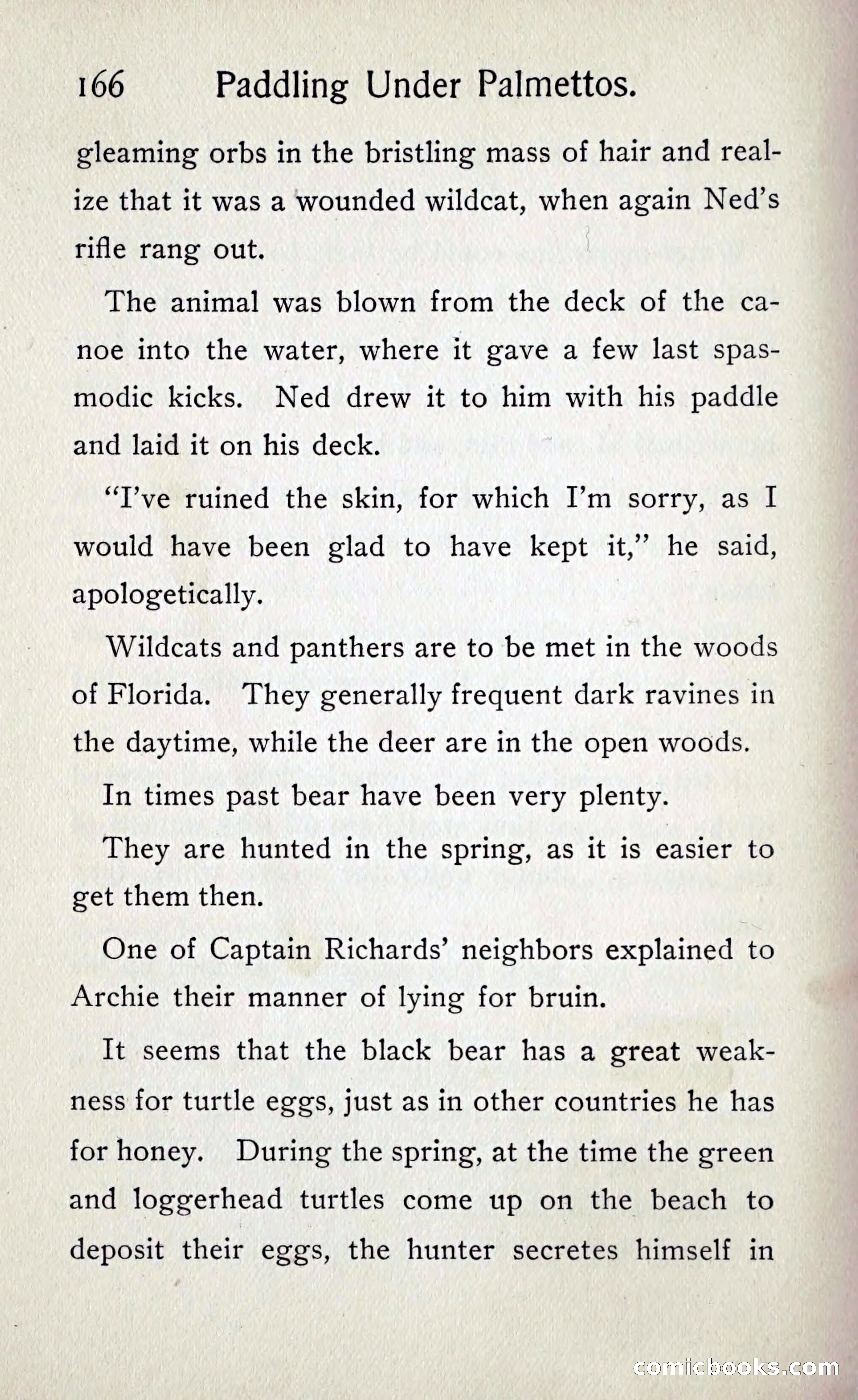 Paddling under Palmettos — page 173 of 299