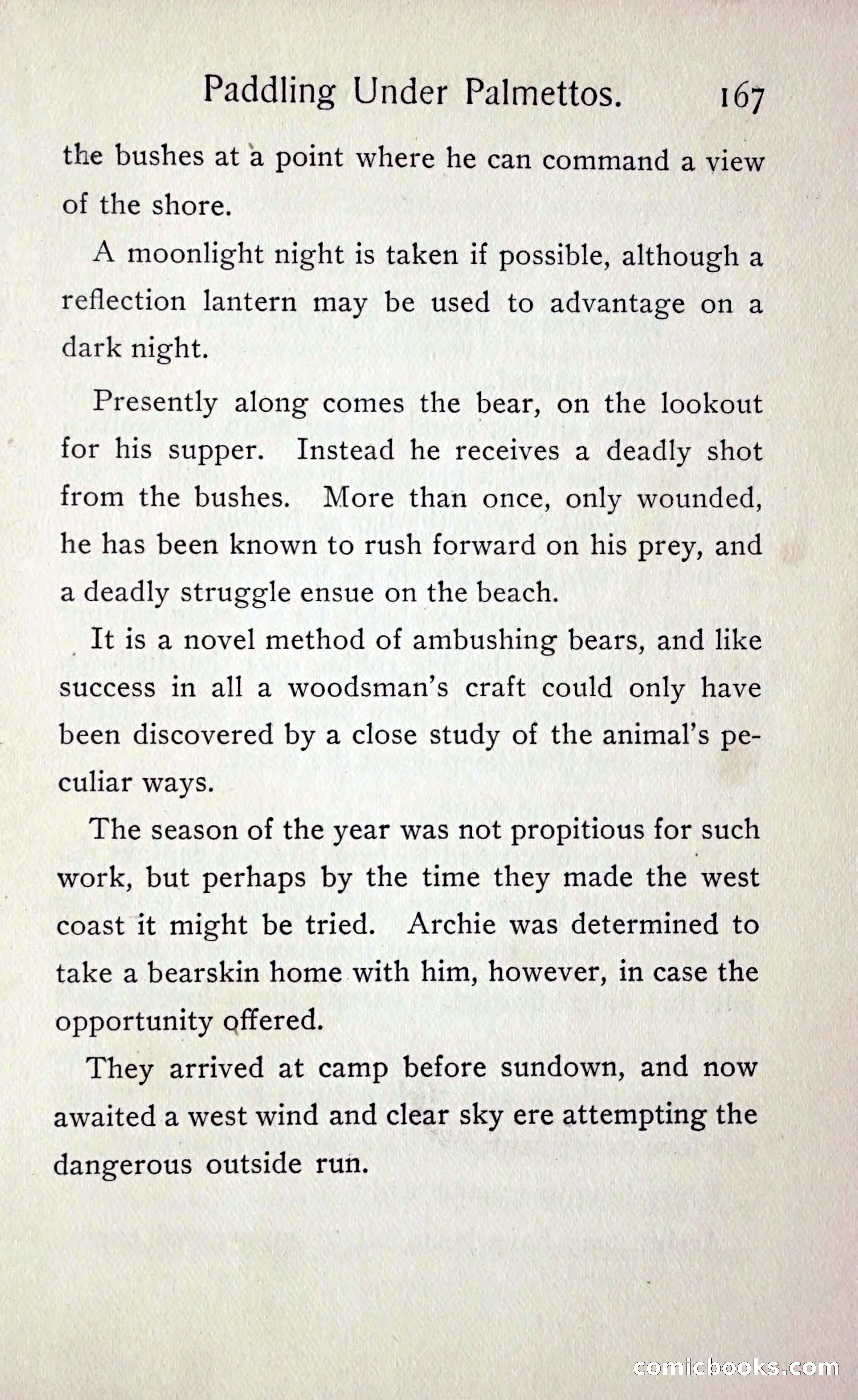 Paddling under Palmettos — page 174 of 299