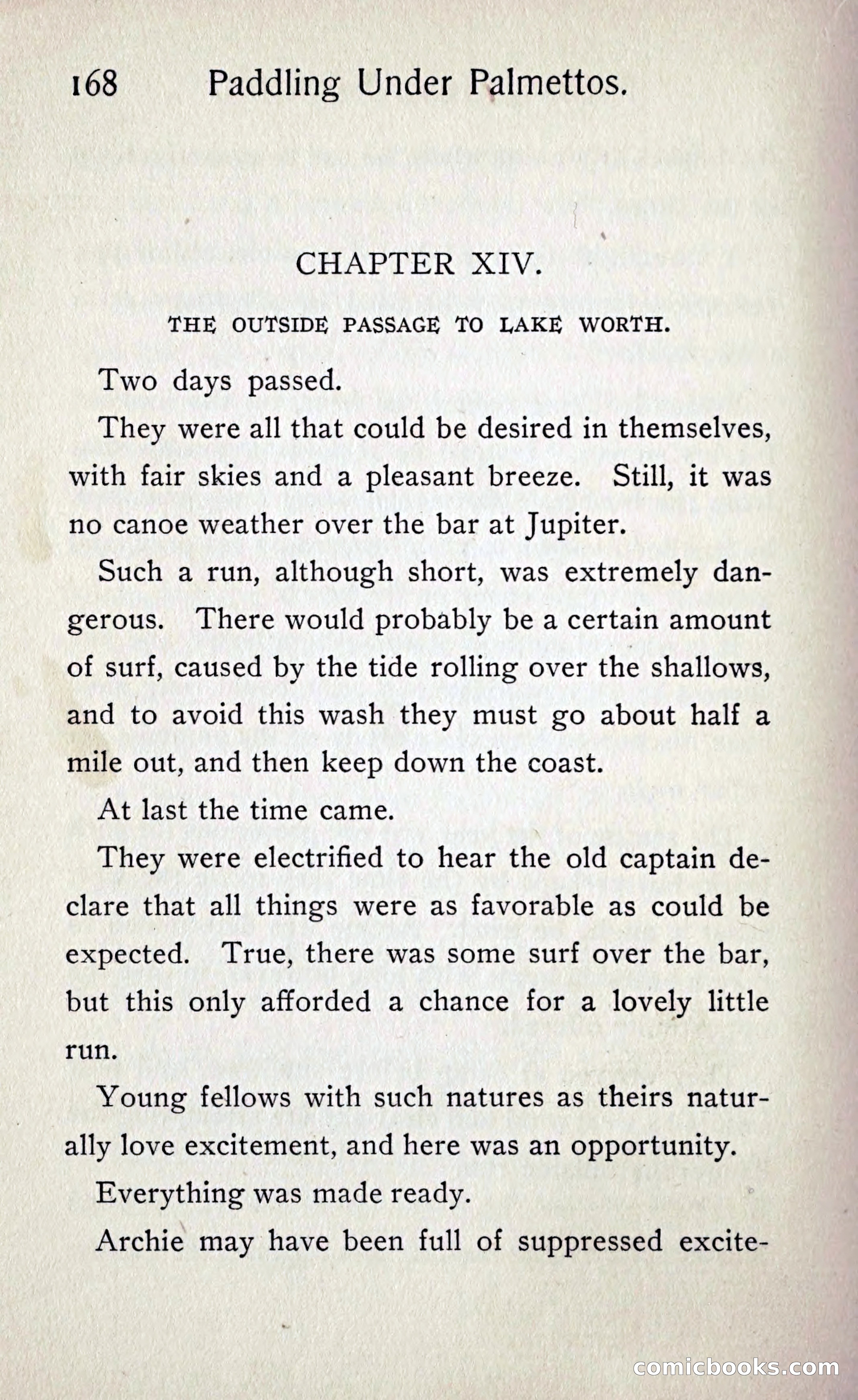 Paddling under Palmettos — page 175 of 299