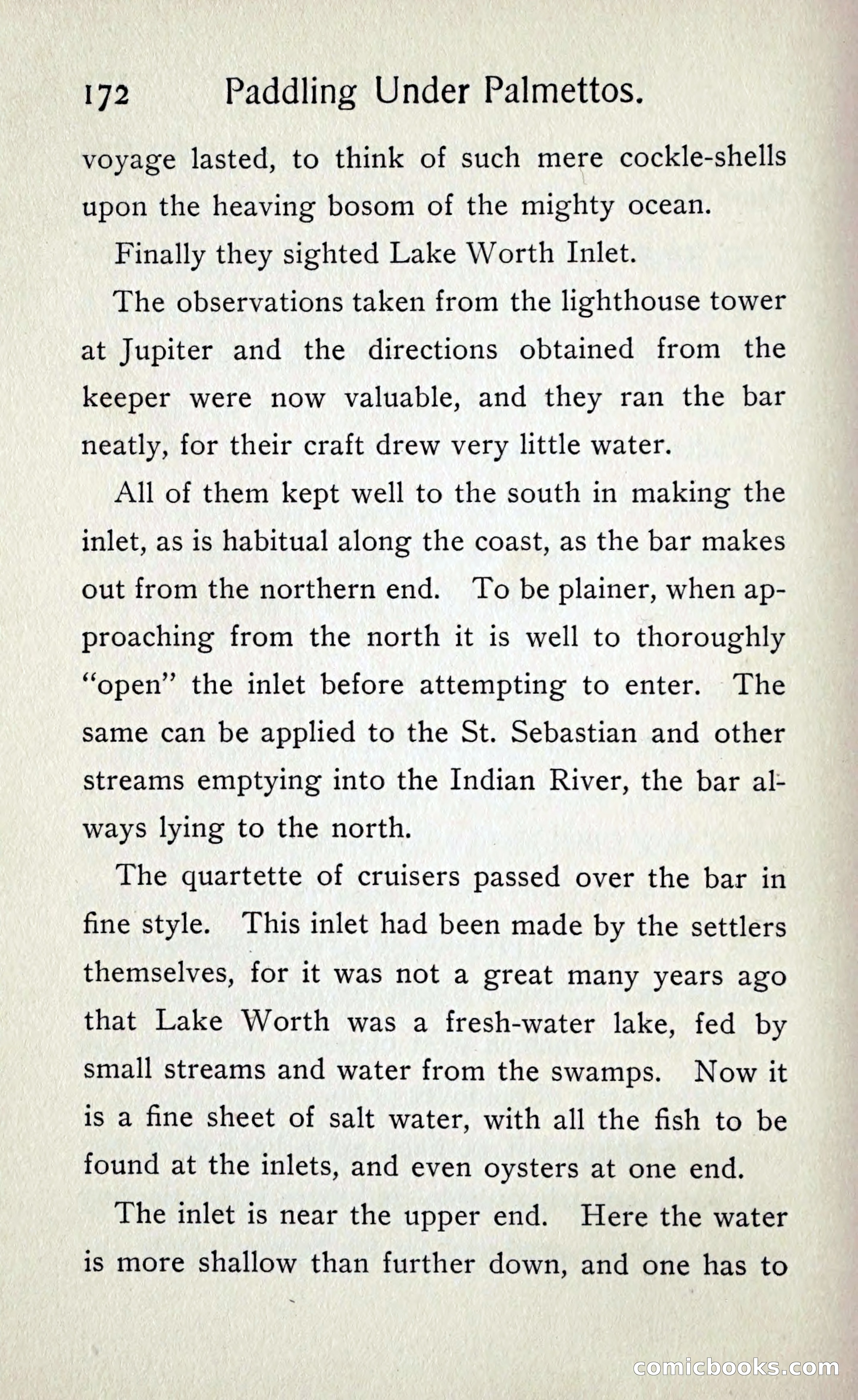 Paddling under Palmettos — page 179 of 299