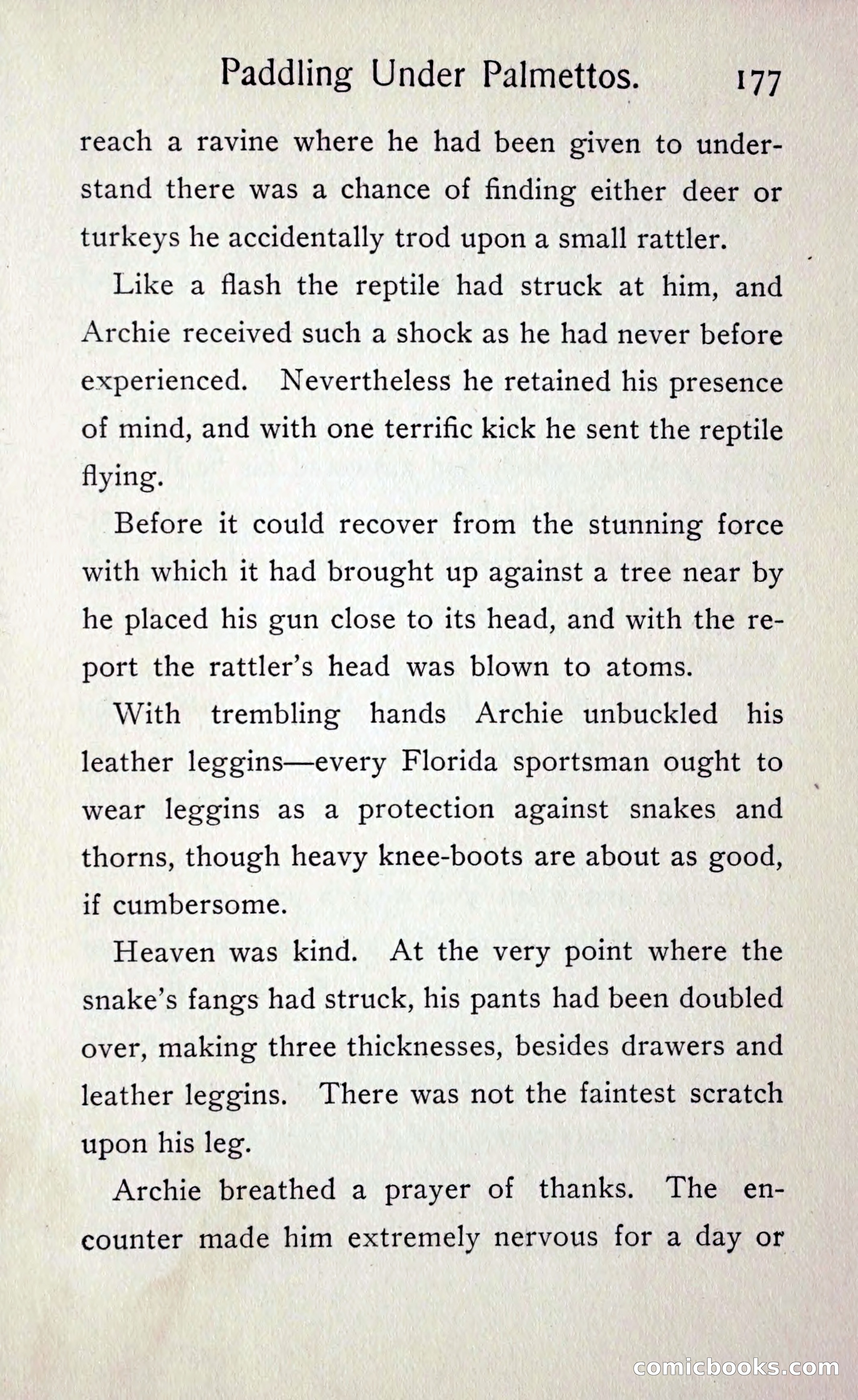 Paddling under Palmettos — page 184 of 299