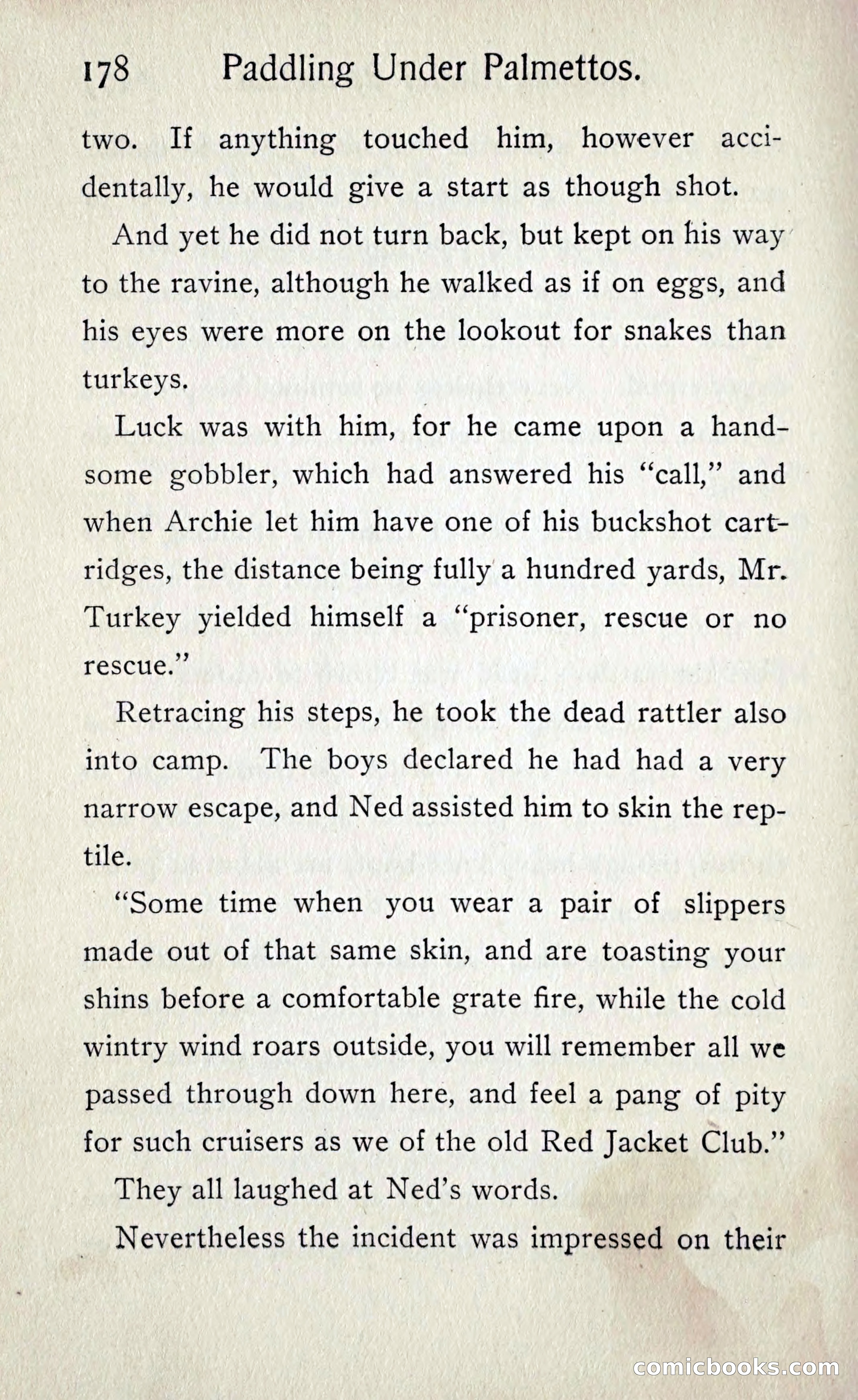 Paddling under Palmettos — page 185 of 299