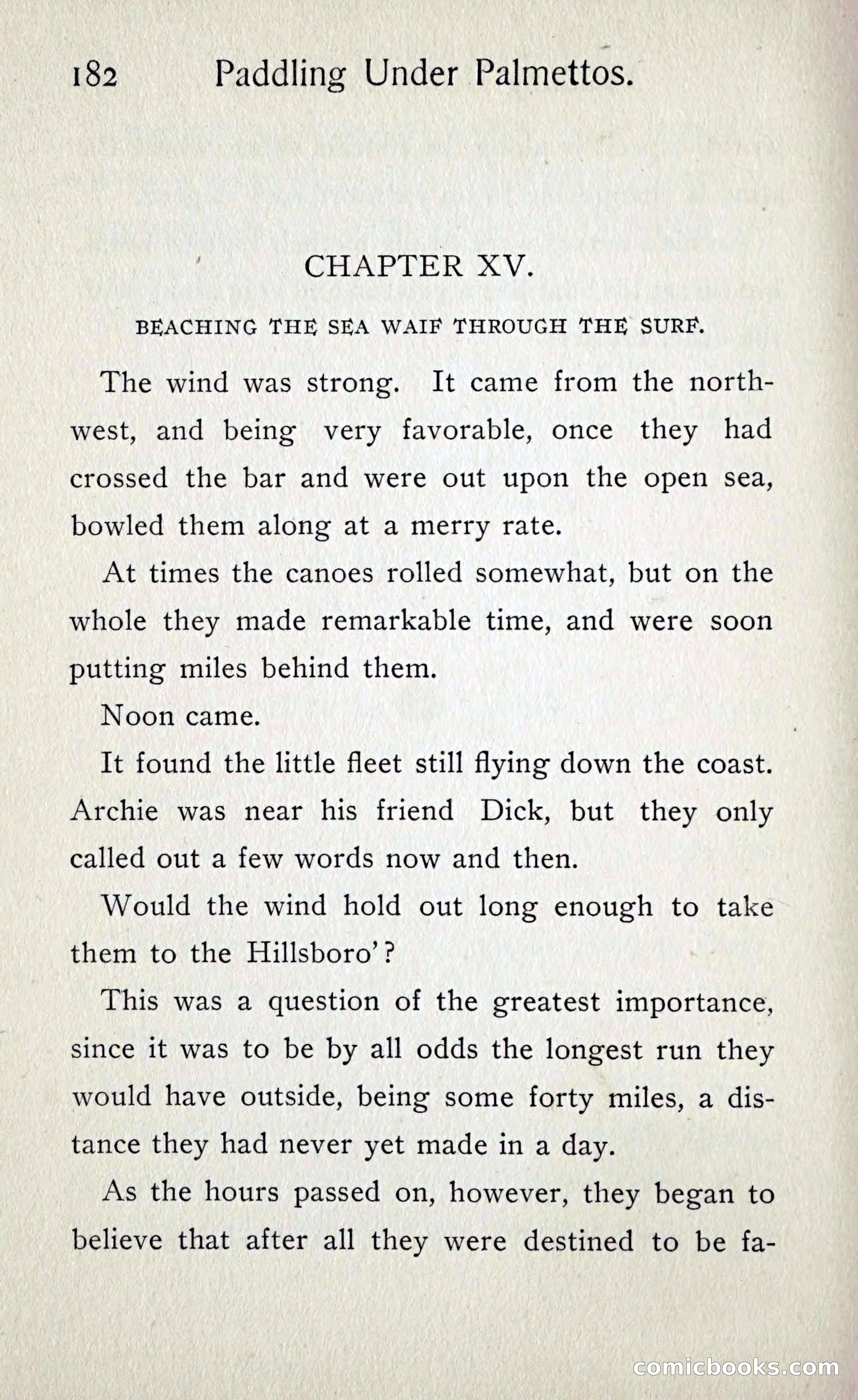 Paddling under Palmettos — page 189 of 299