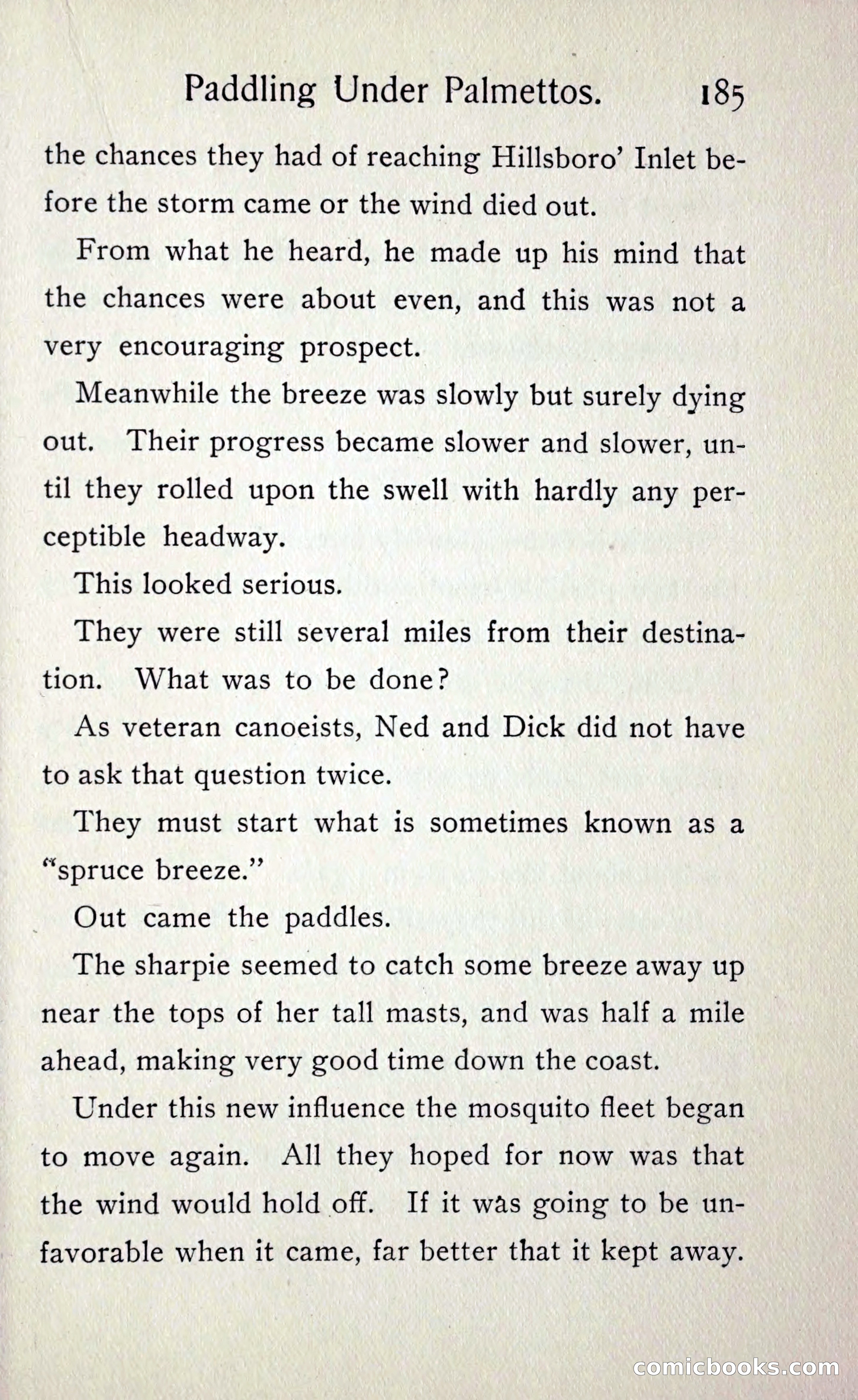 Paddling under Palmettos — page 192 of 299
