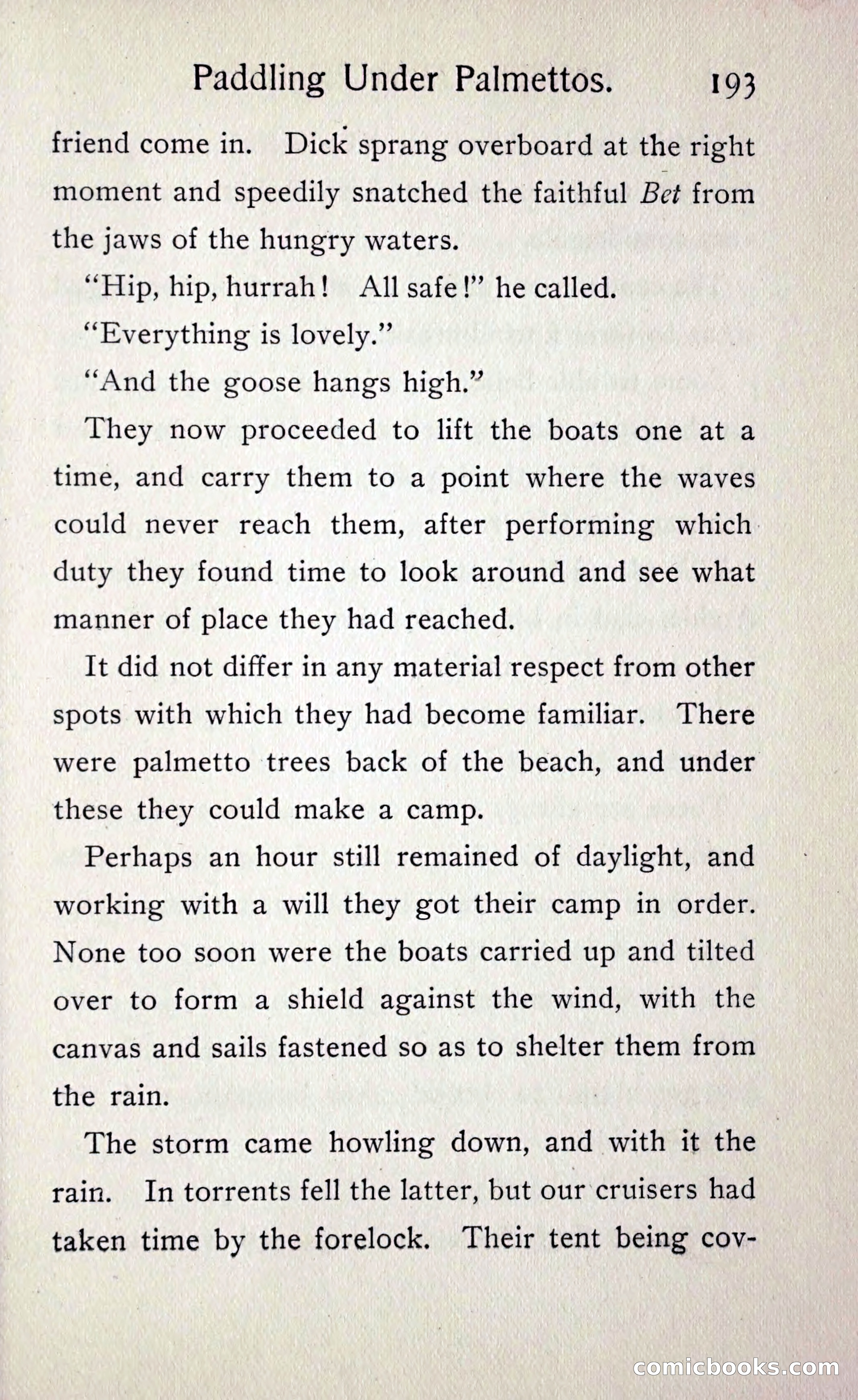 Paddling under Palmettos — page 200 of 299
