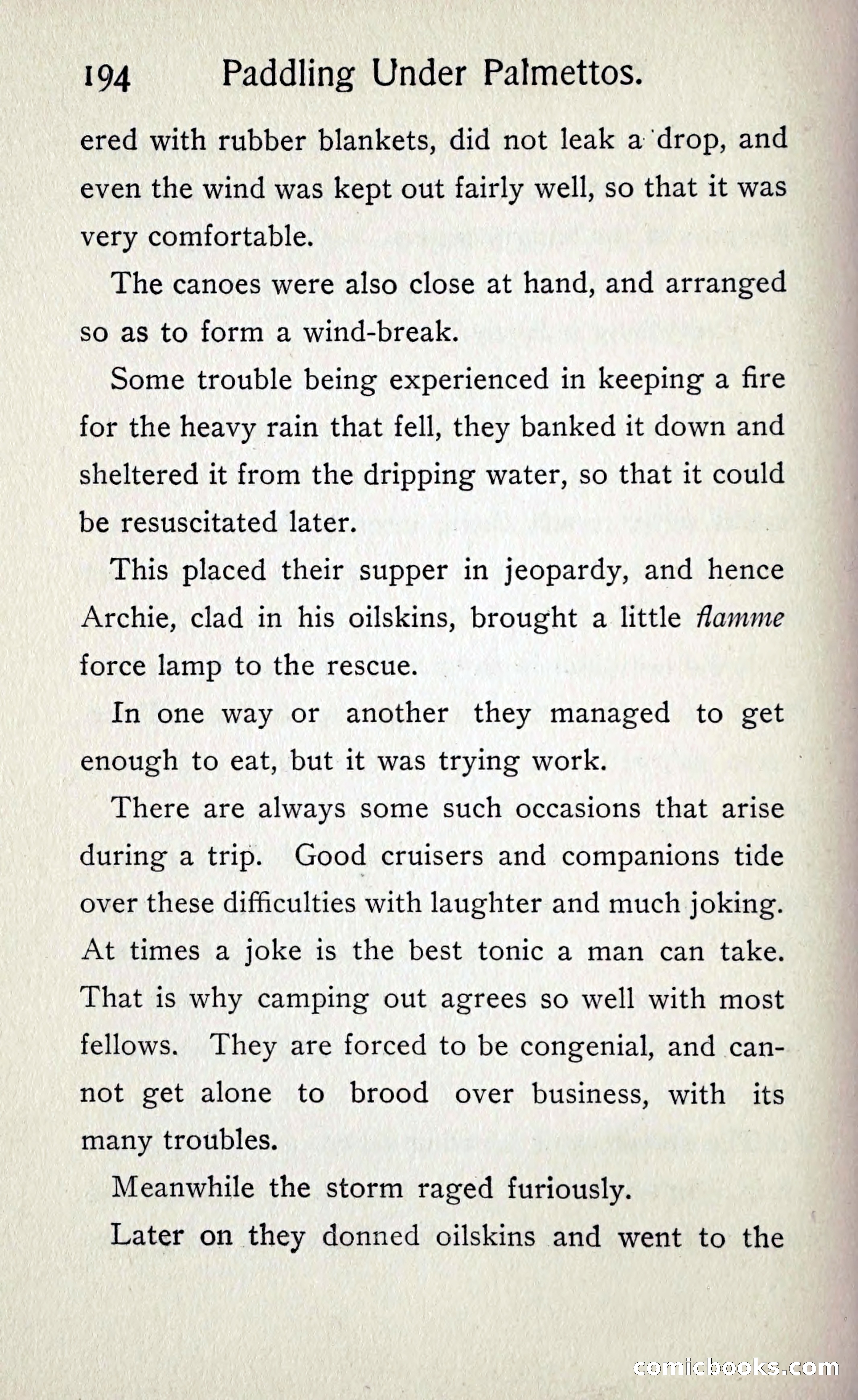 Paddling under Palmettos — page 201 of 299