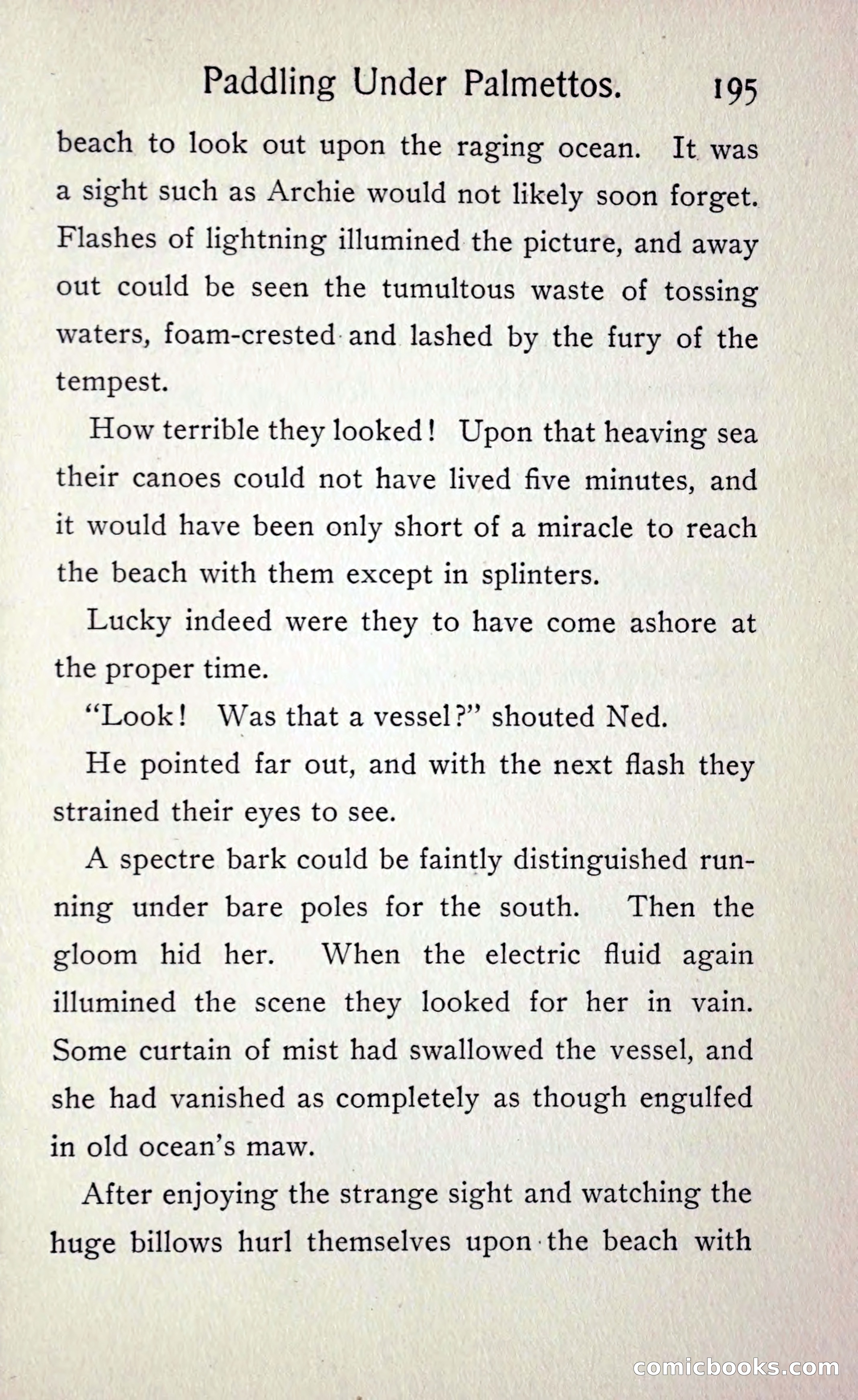 Paddling under Palmettos — page 202 of 299